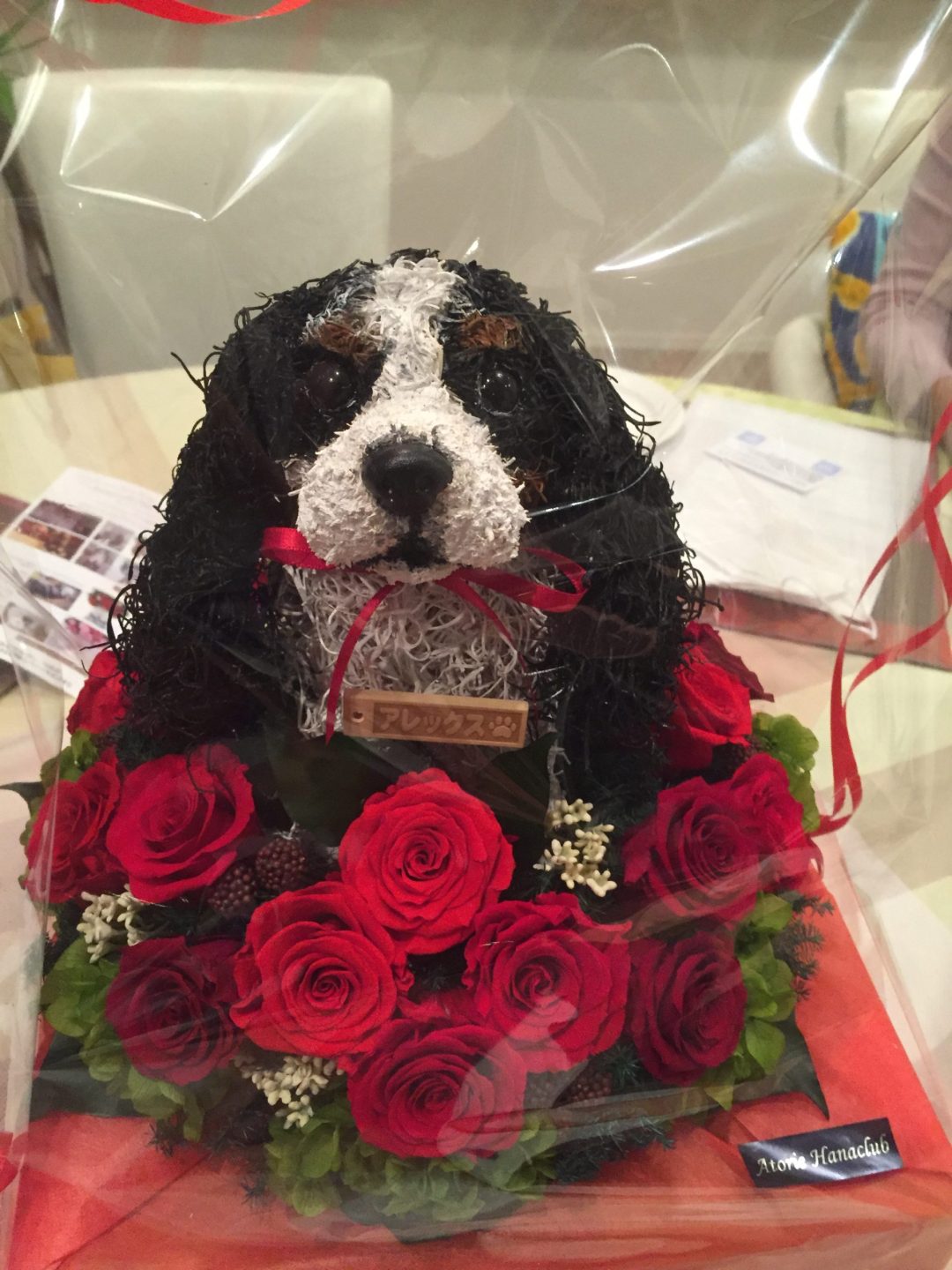 愛犬グッズ