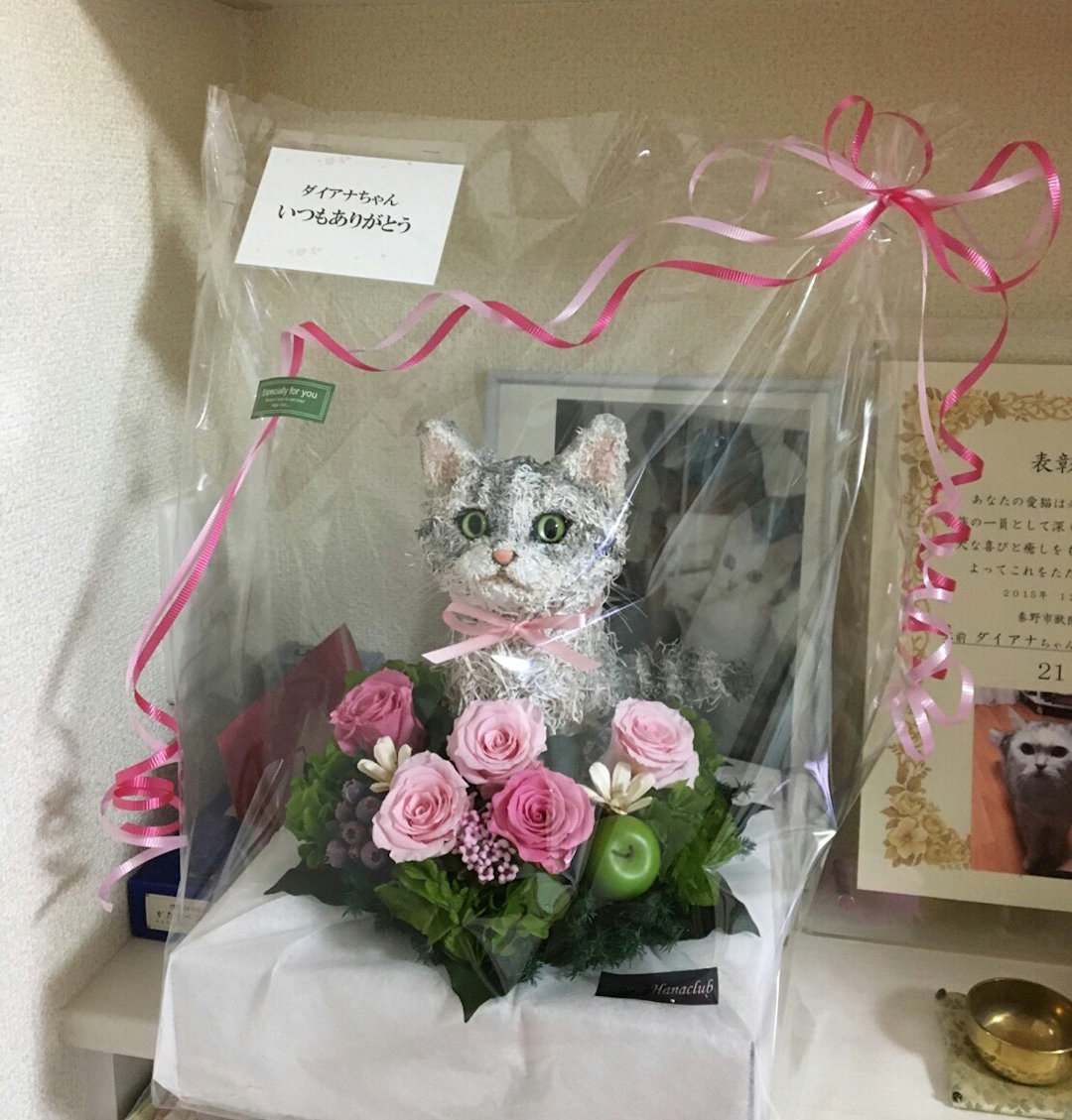 愛猫お悔やみプレゼント