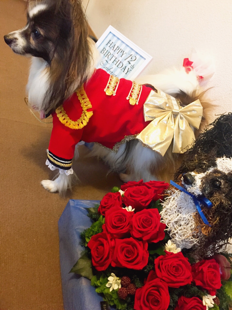 愛犬誕生日プレゼント