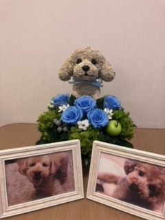 愛犬お供え花