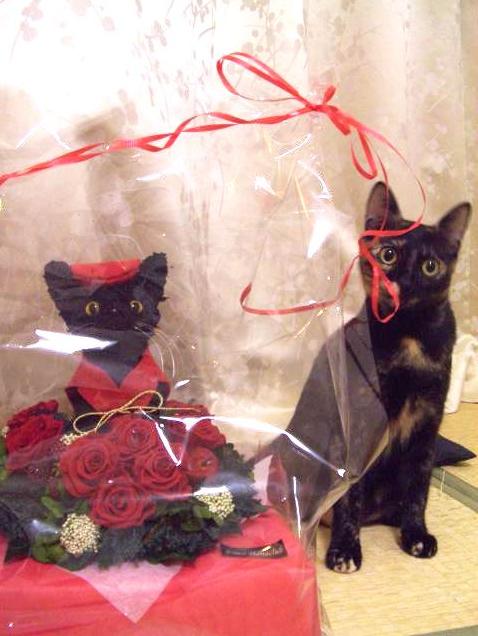 還暦祝い　猫好き