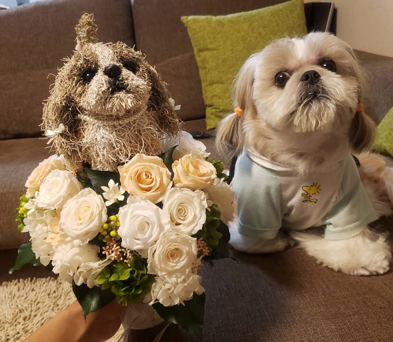結婚式 犬ブーケ