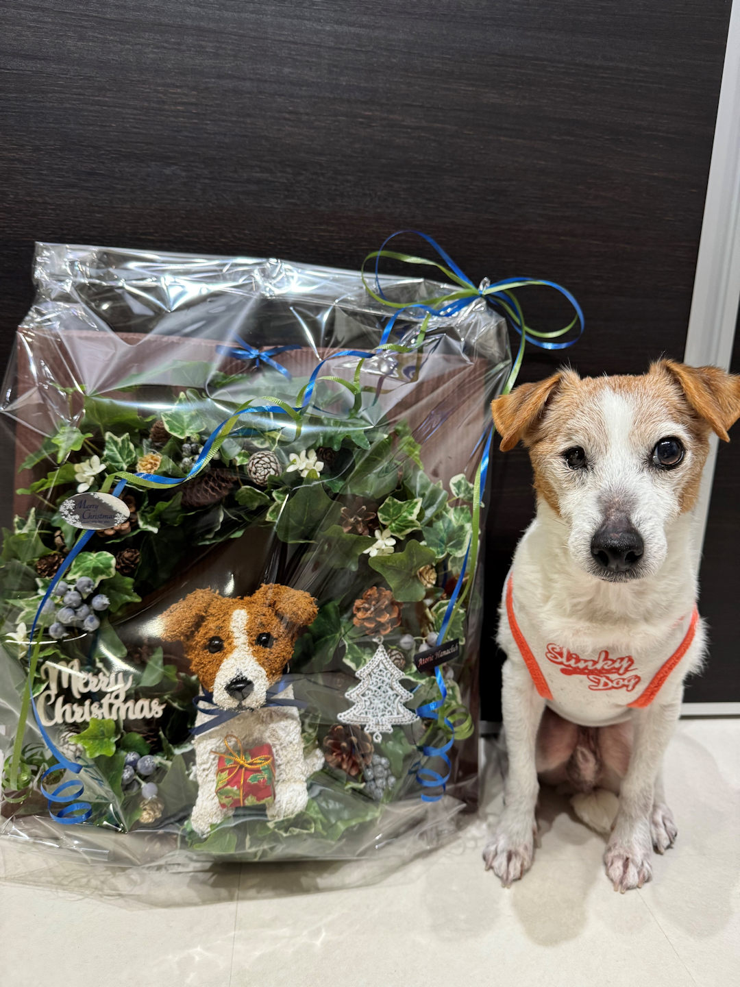クリスマスリース 犬