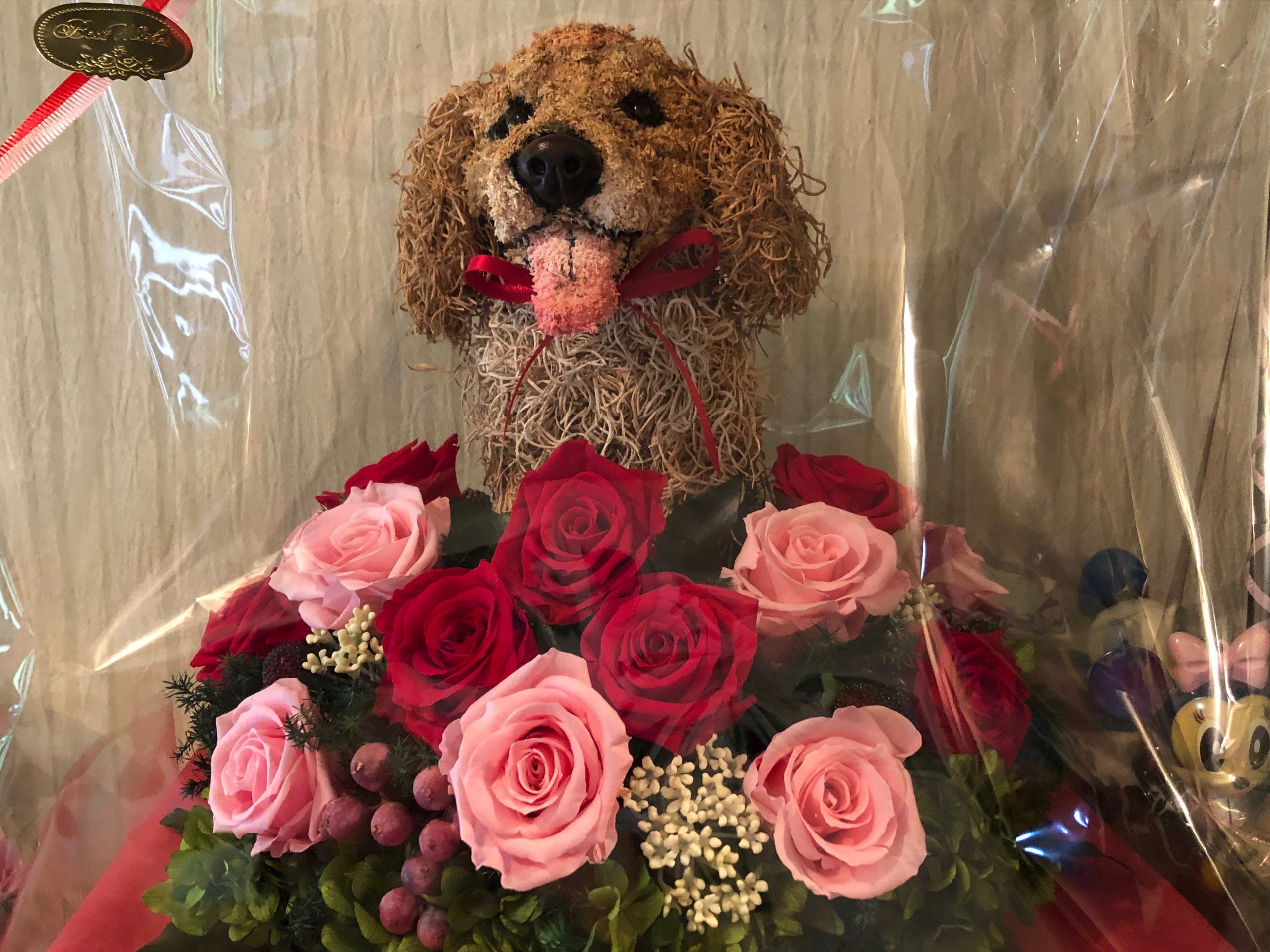 ゴールデンレトリバー花