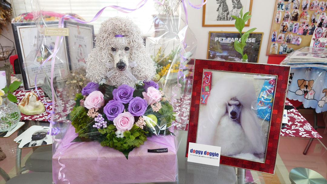 愛犬お供え プレゼント