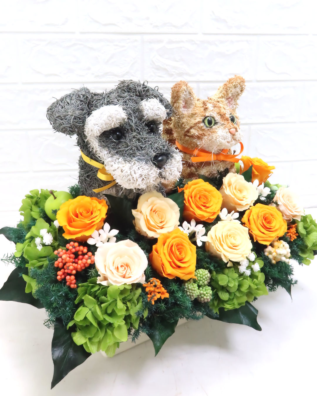 シュナウザー 茶トラ猫