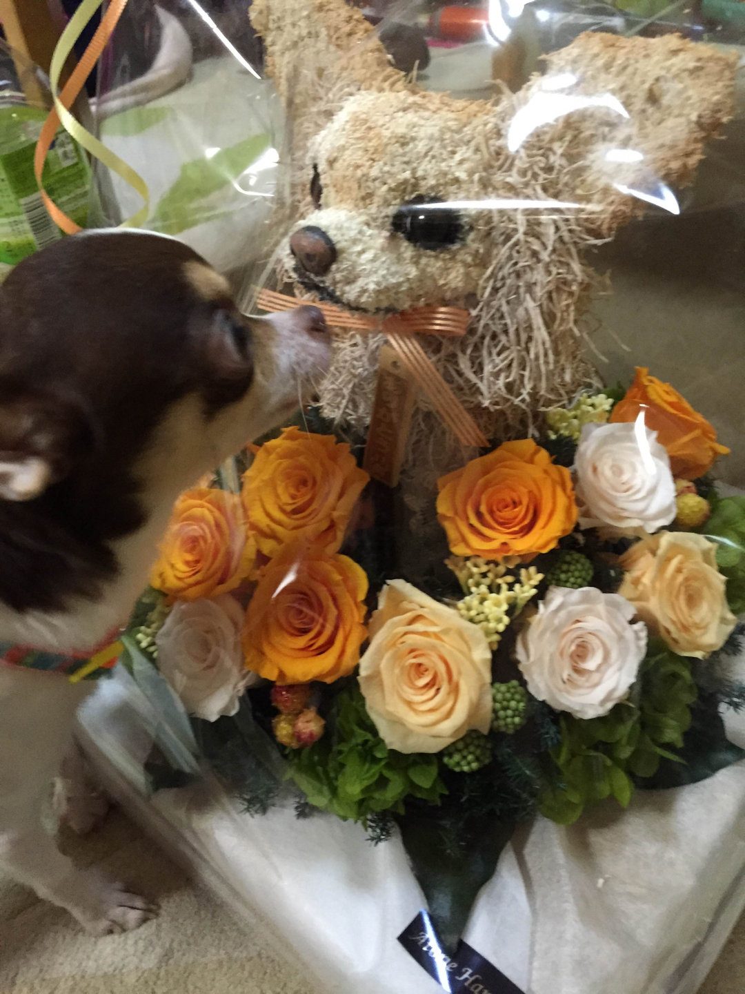 ペットのお悔やみお供え花