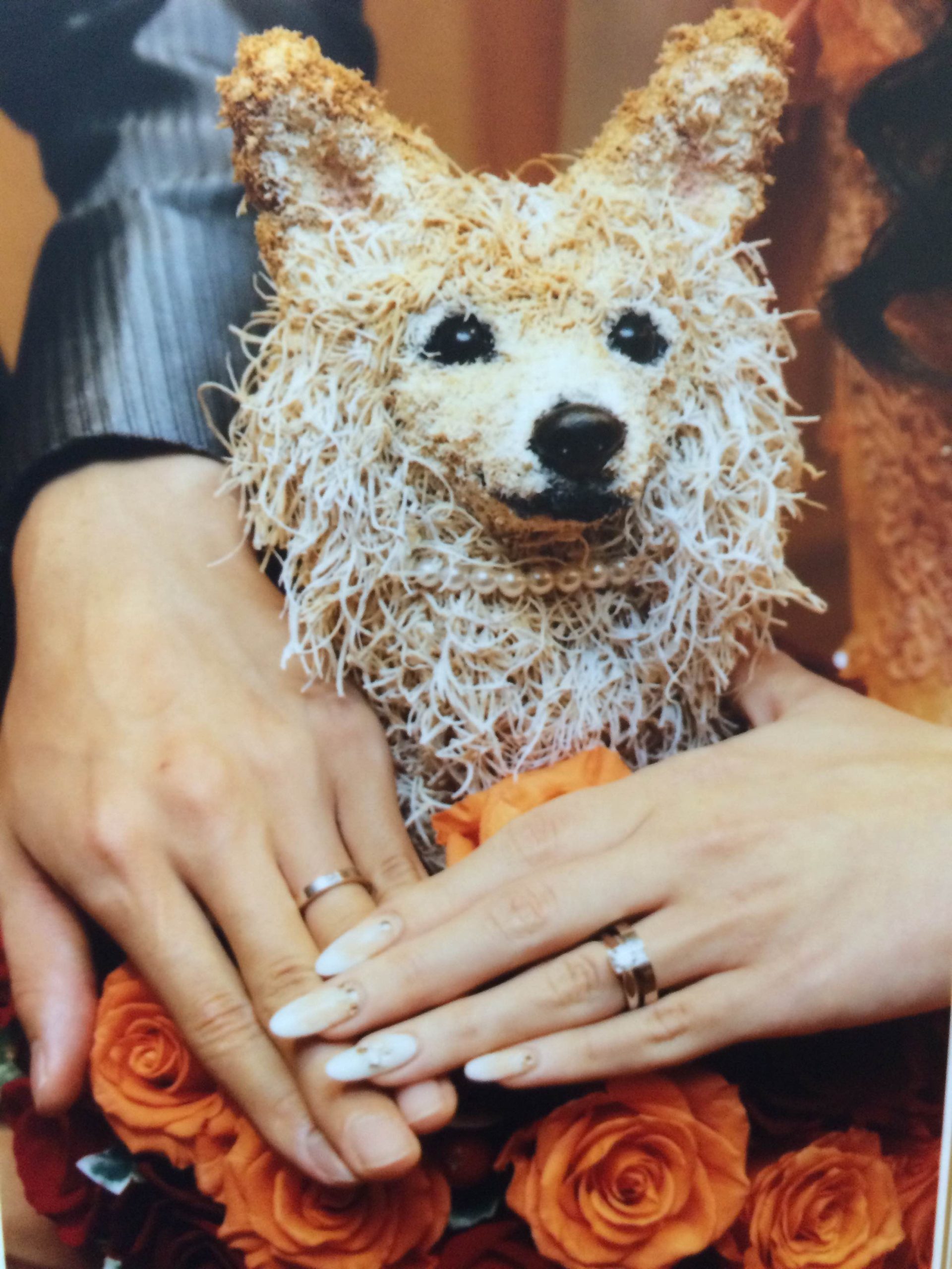 犬オーダーメイド
