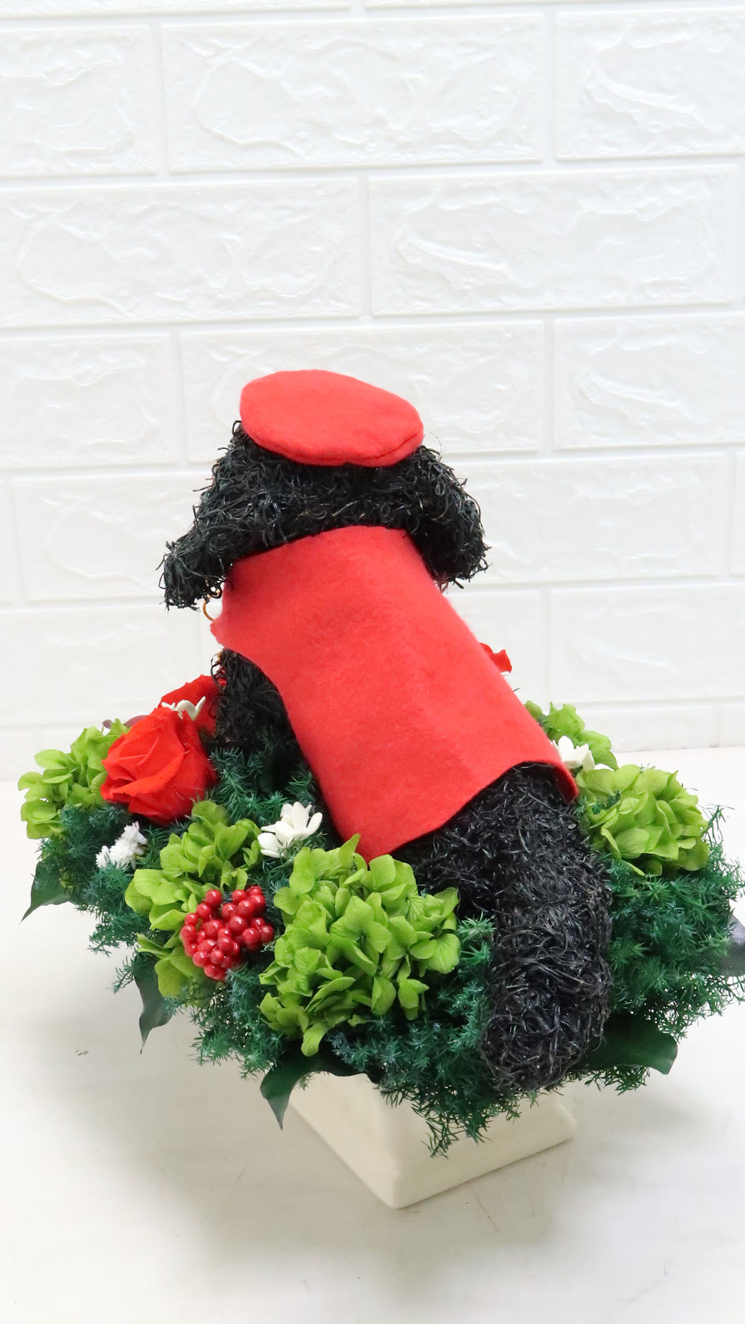 犬花