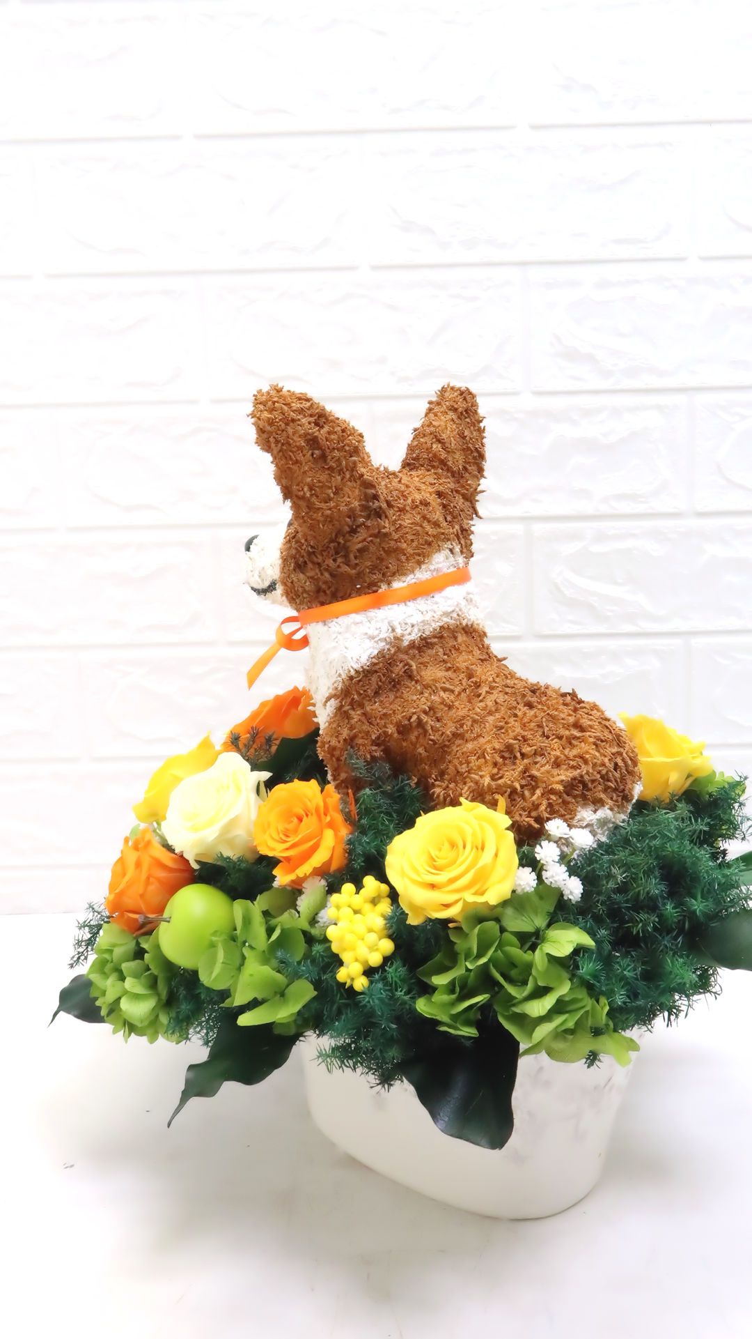 犬花
