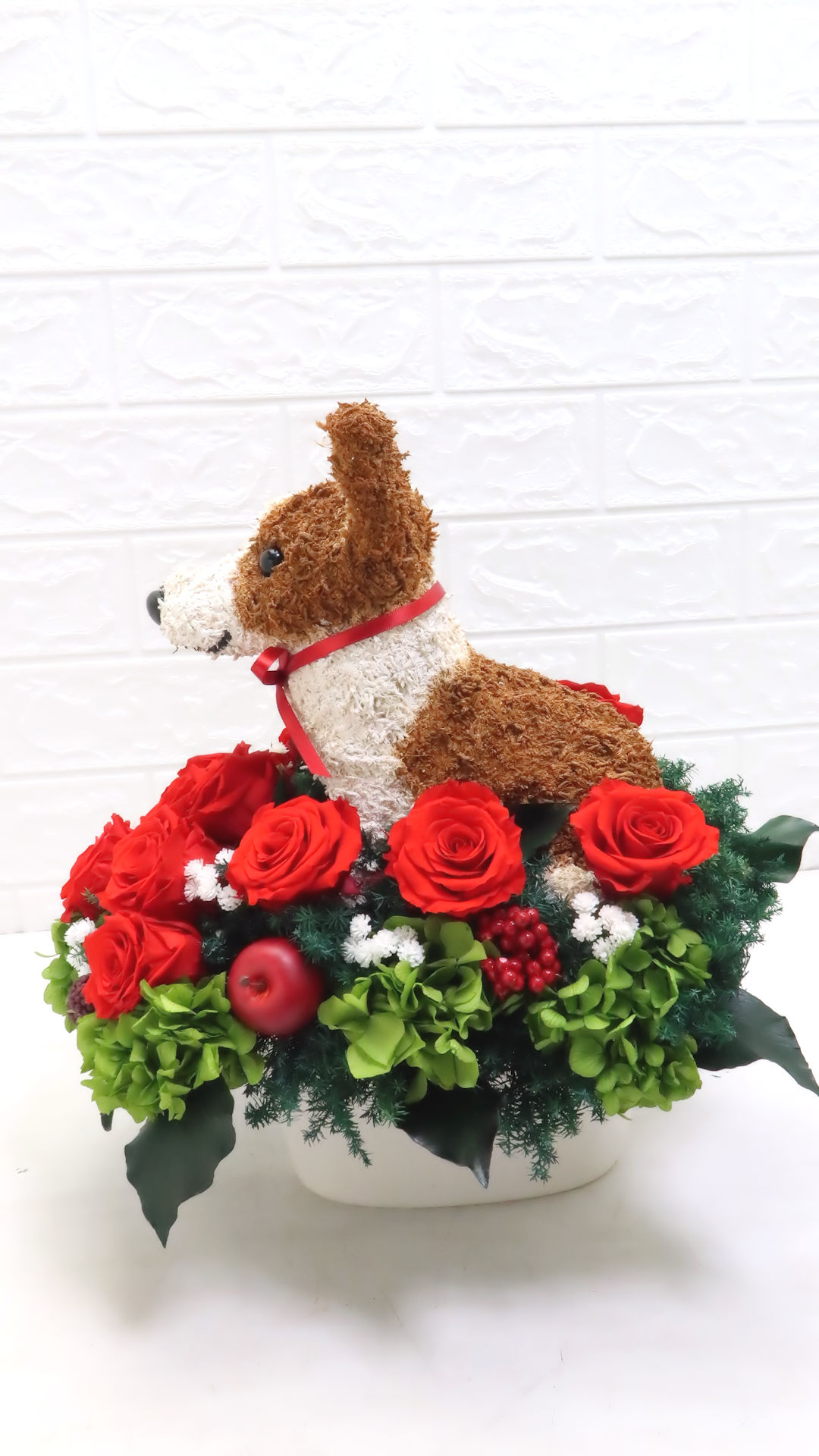 犬花