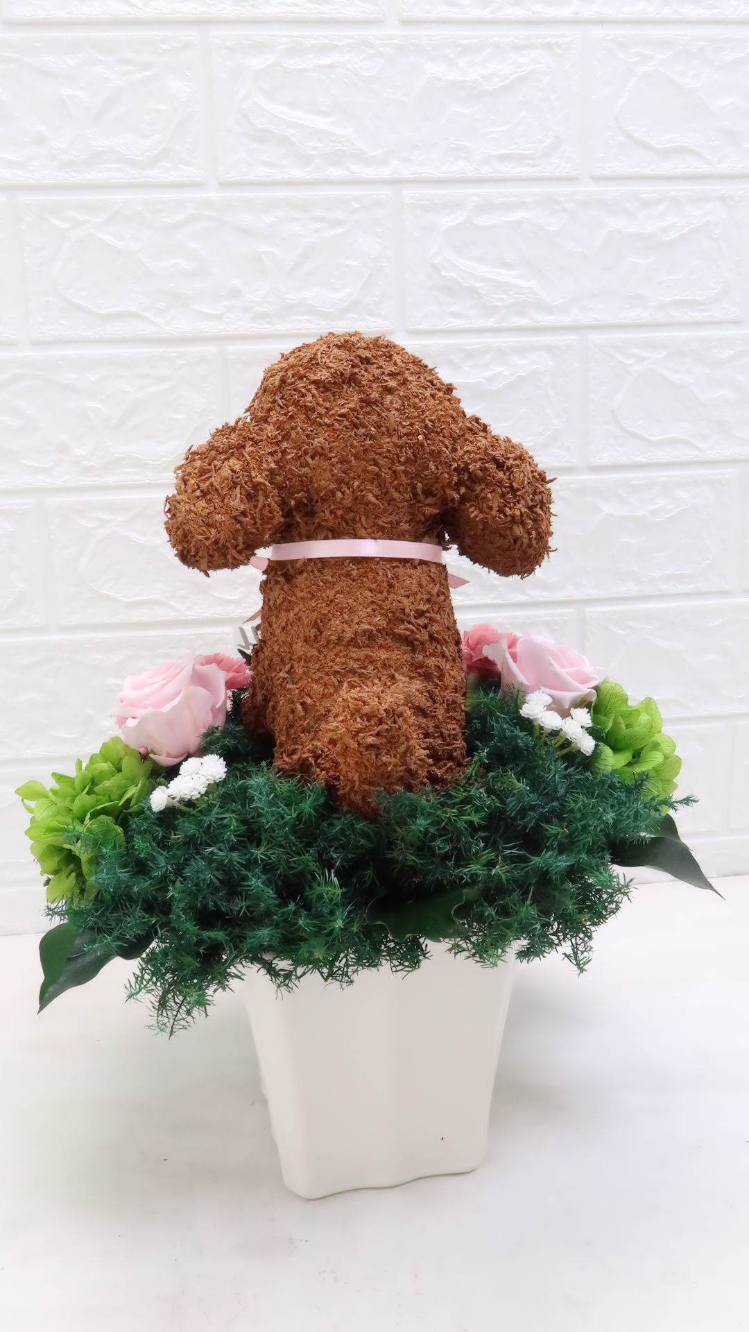 犬花