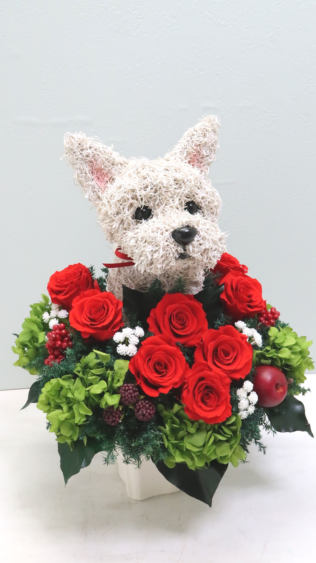 犬花
