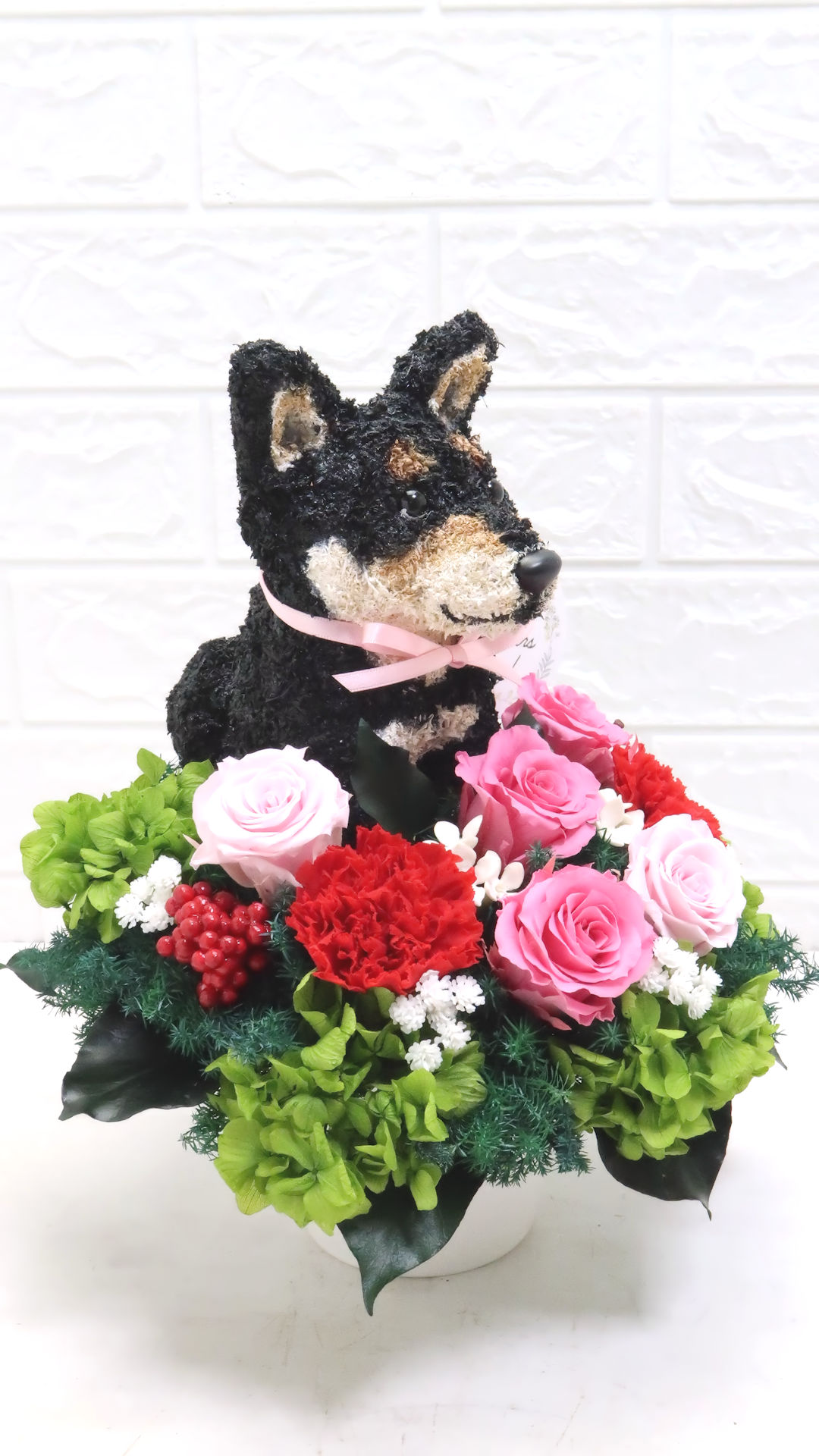 犬花