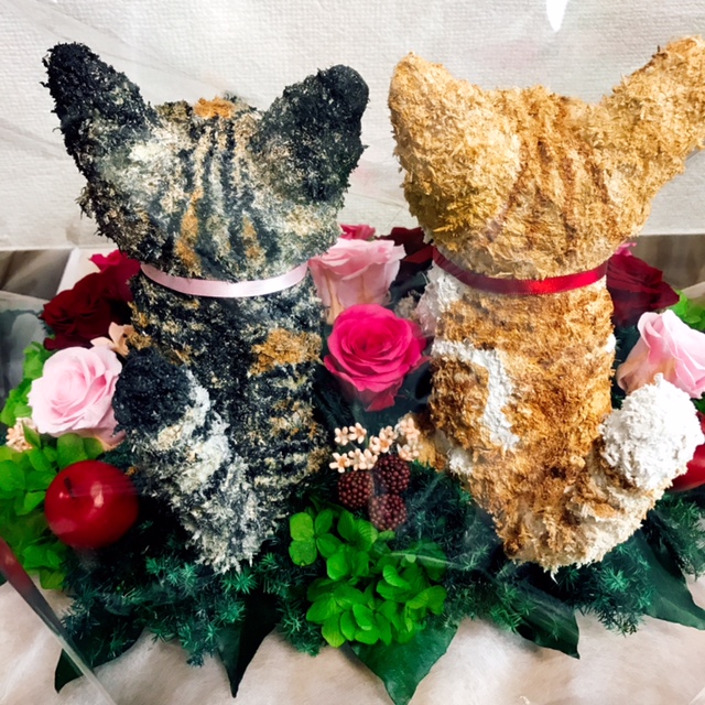 アニマルフラワー猫