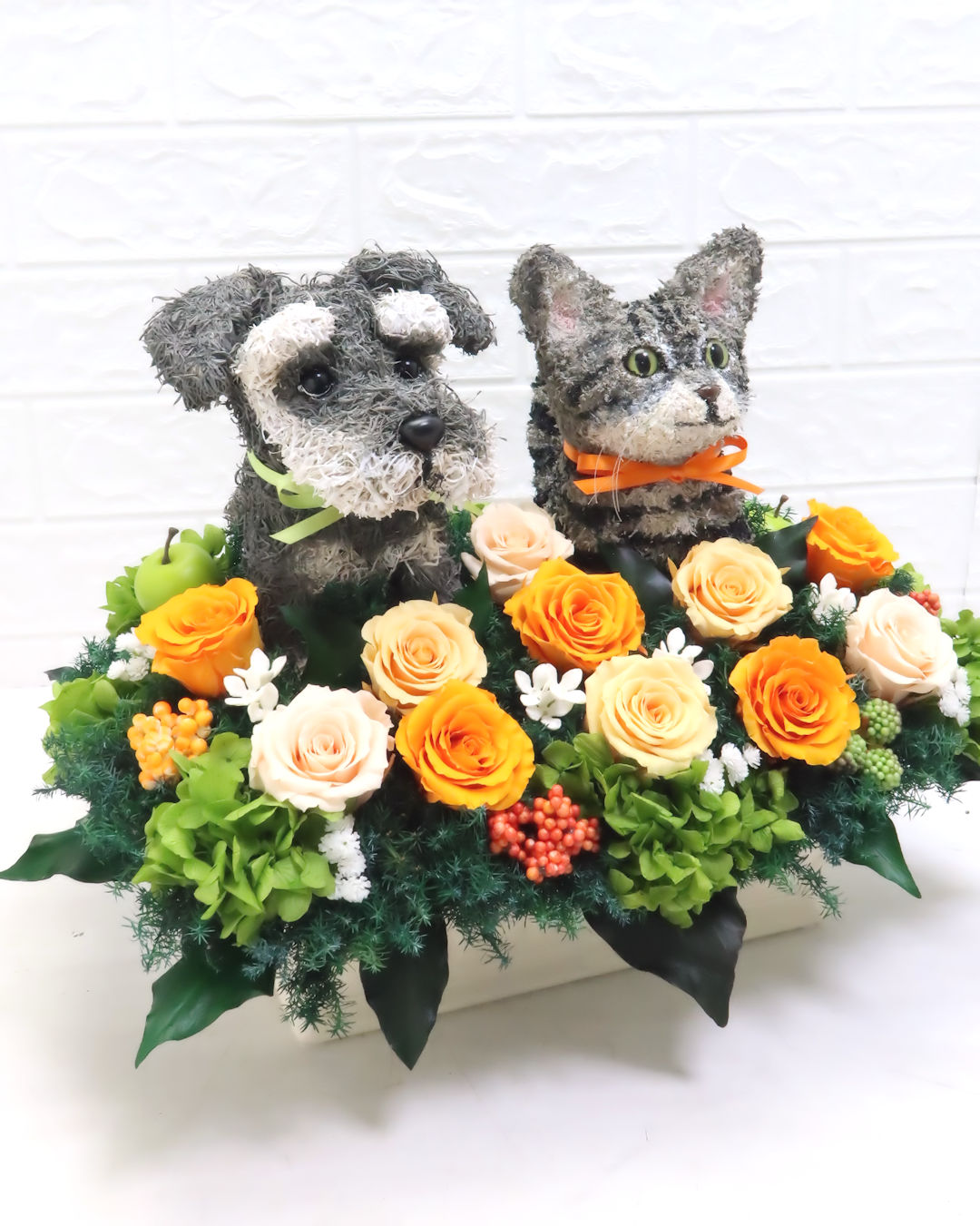 動物病院開業祝い