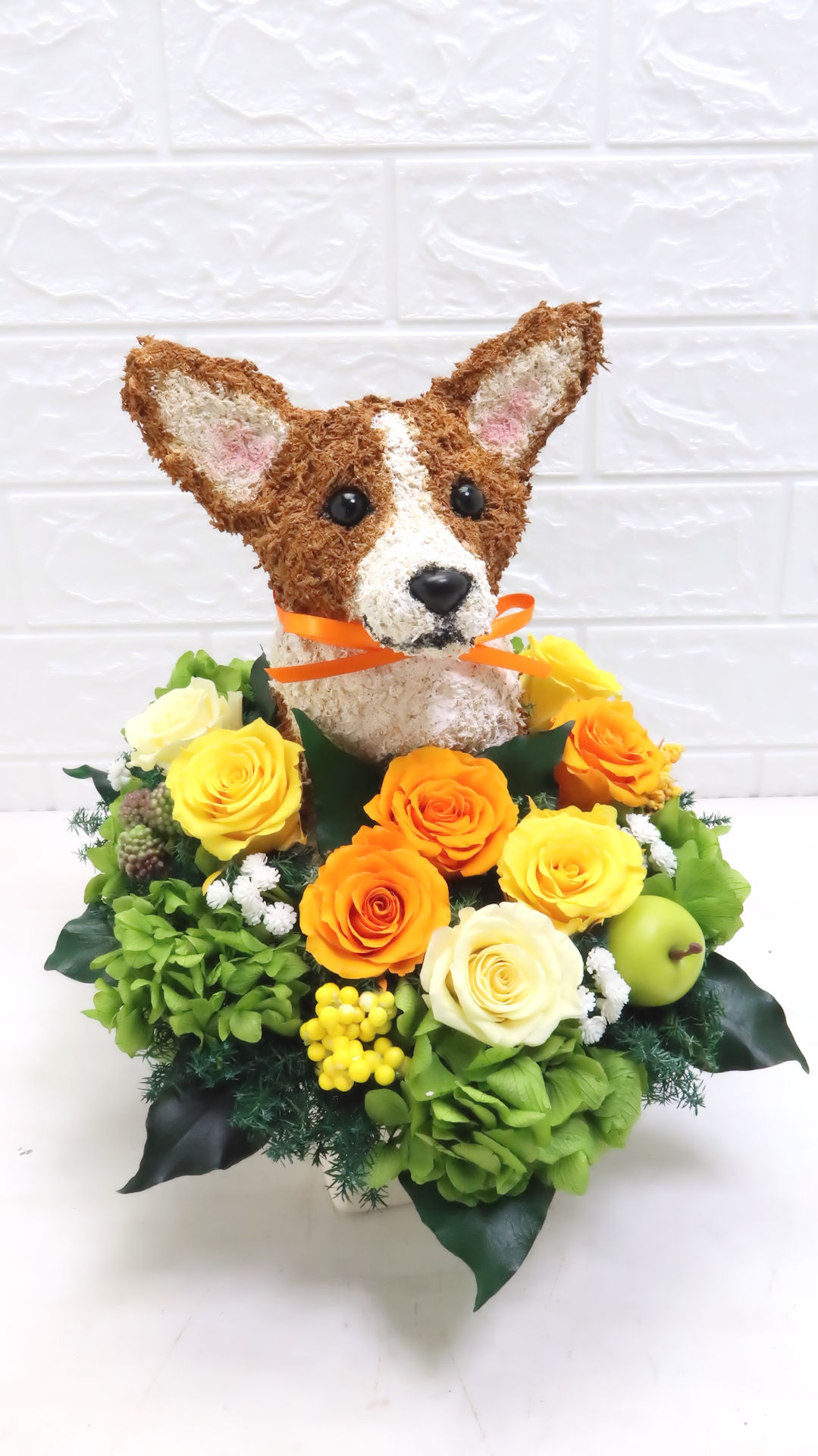犬花