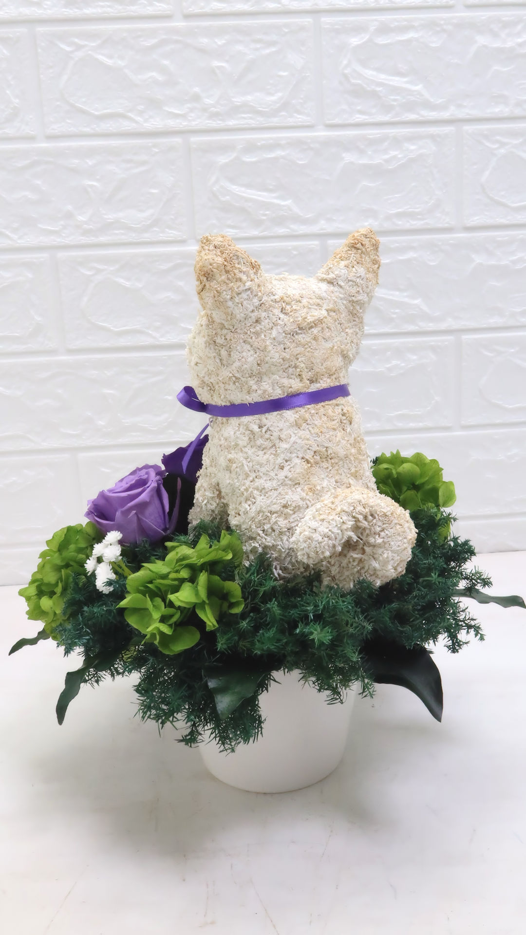 白柴犬 花