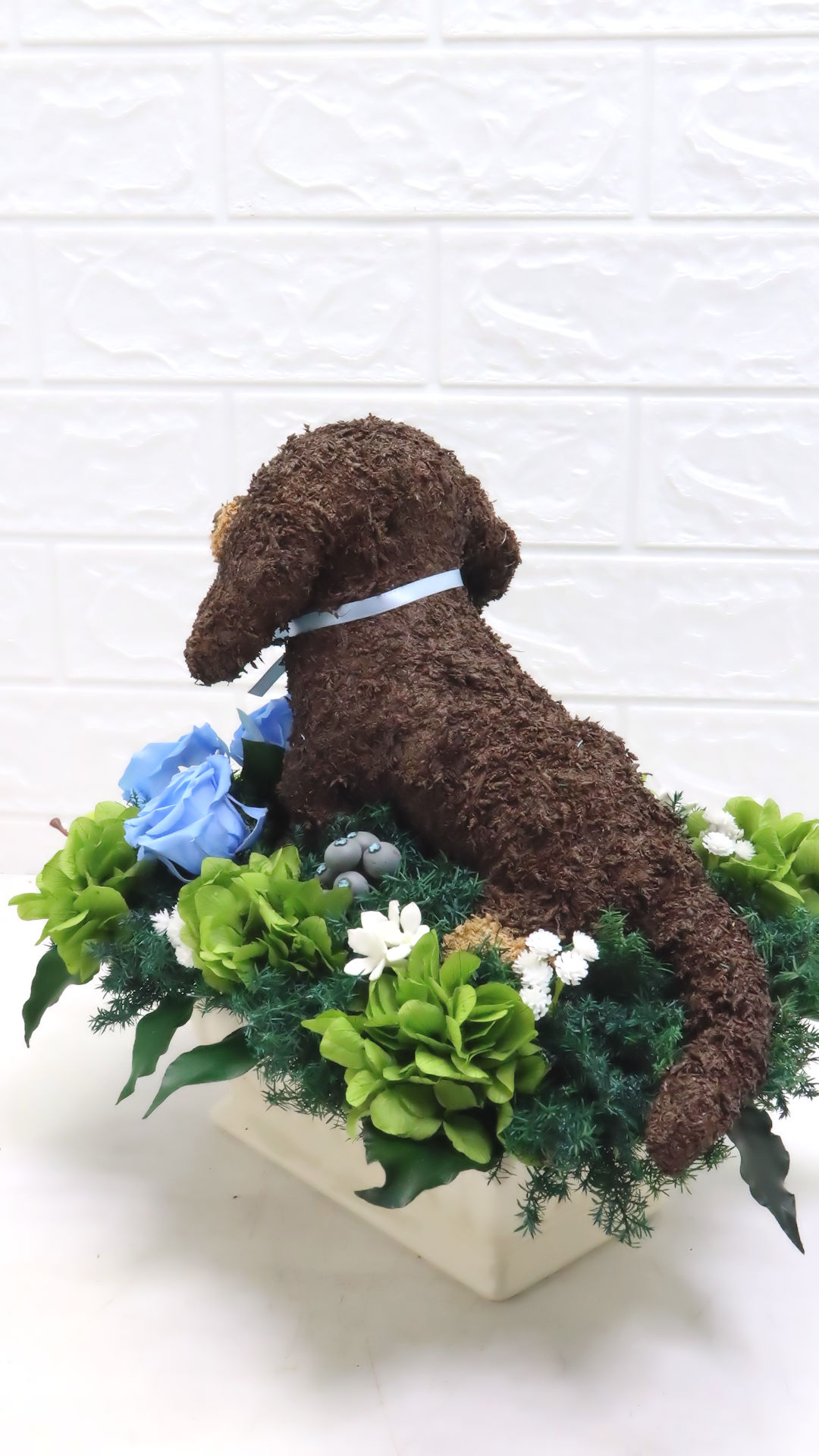 犬花