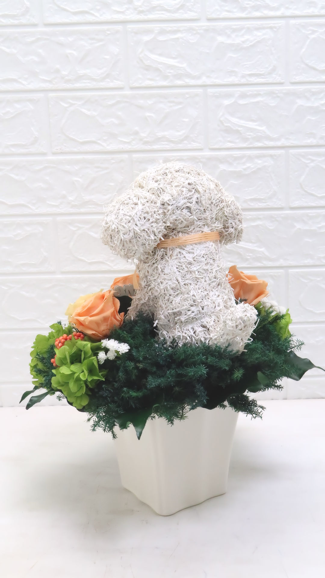 犬花