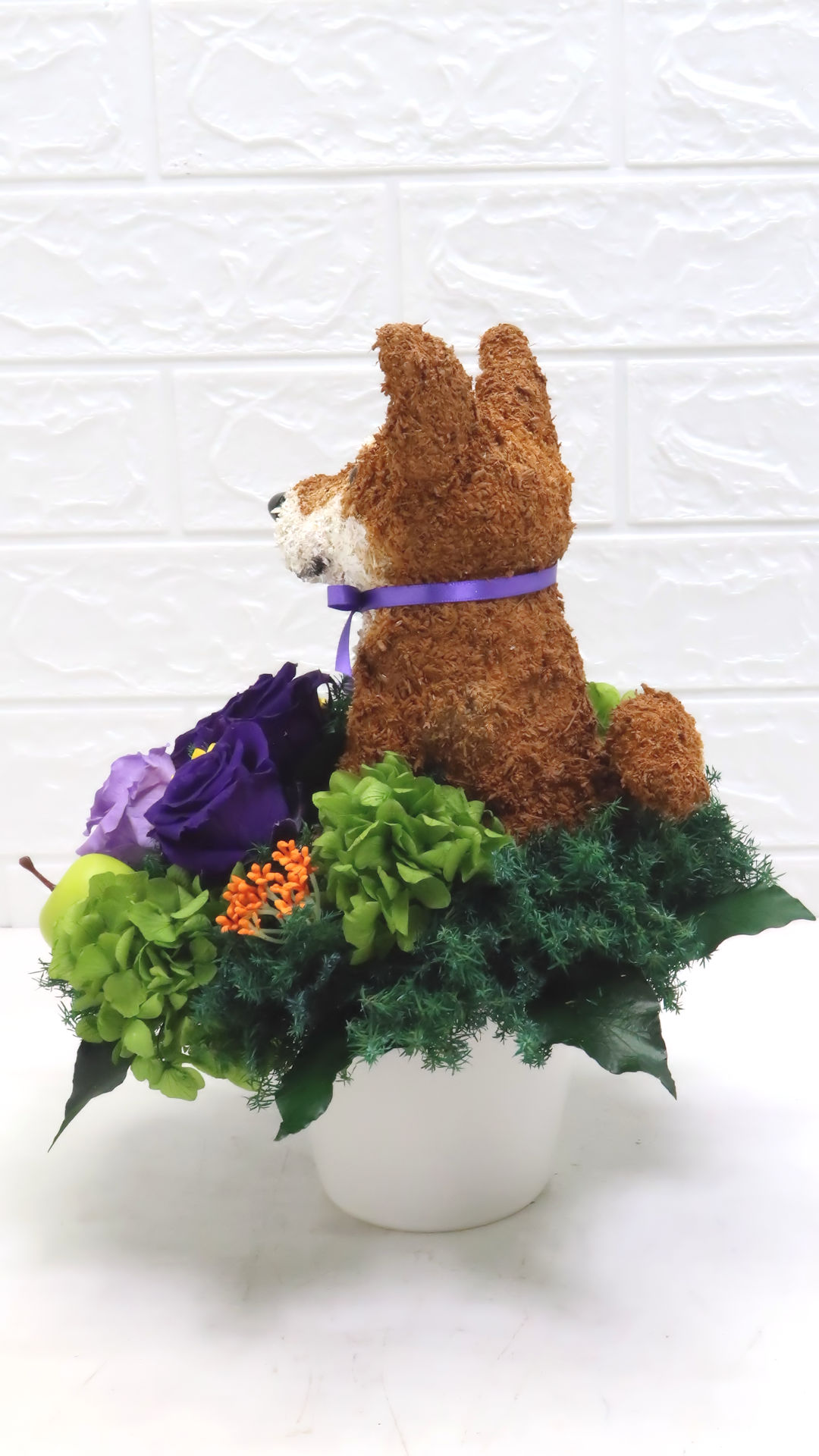 犬花