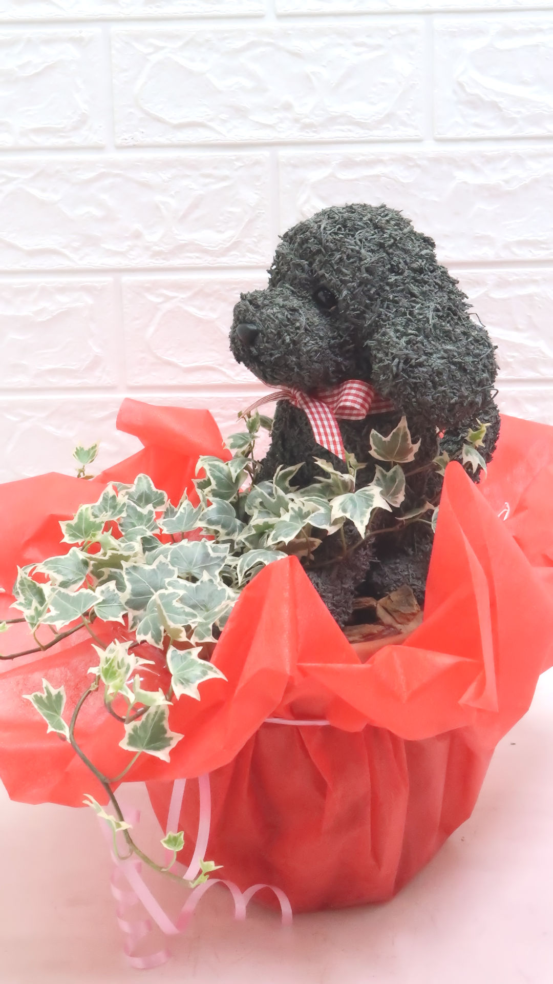 犬好き誕生日プレゼント