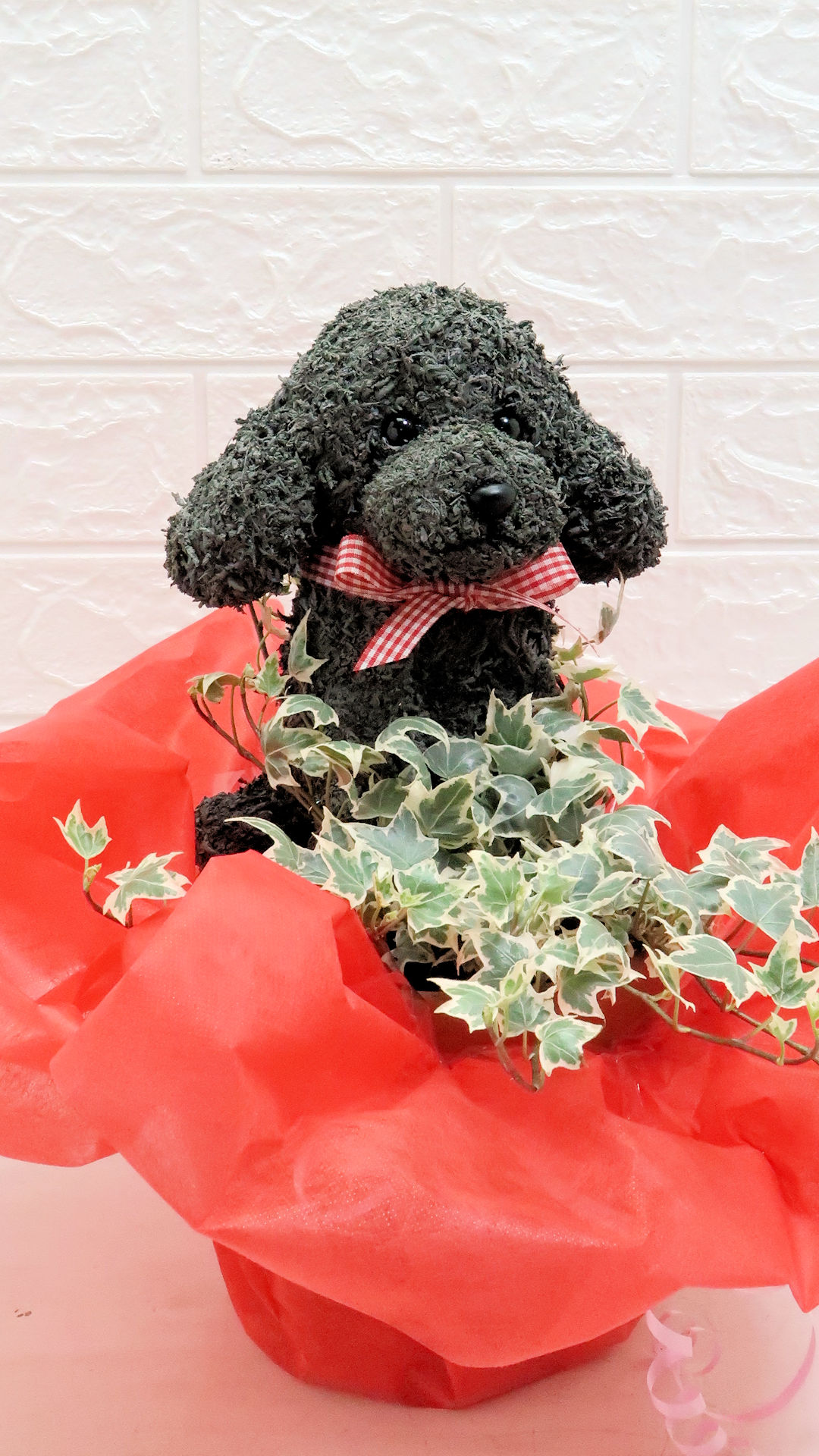 犬花