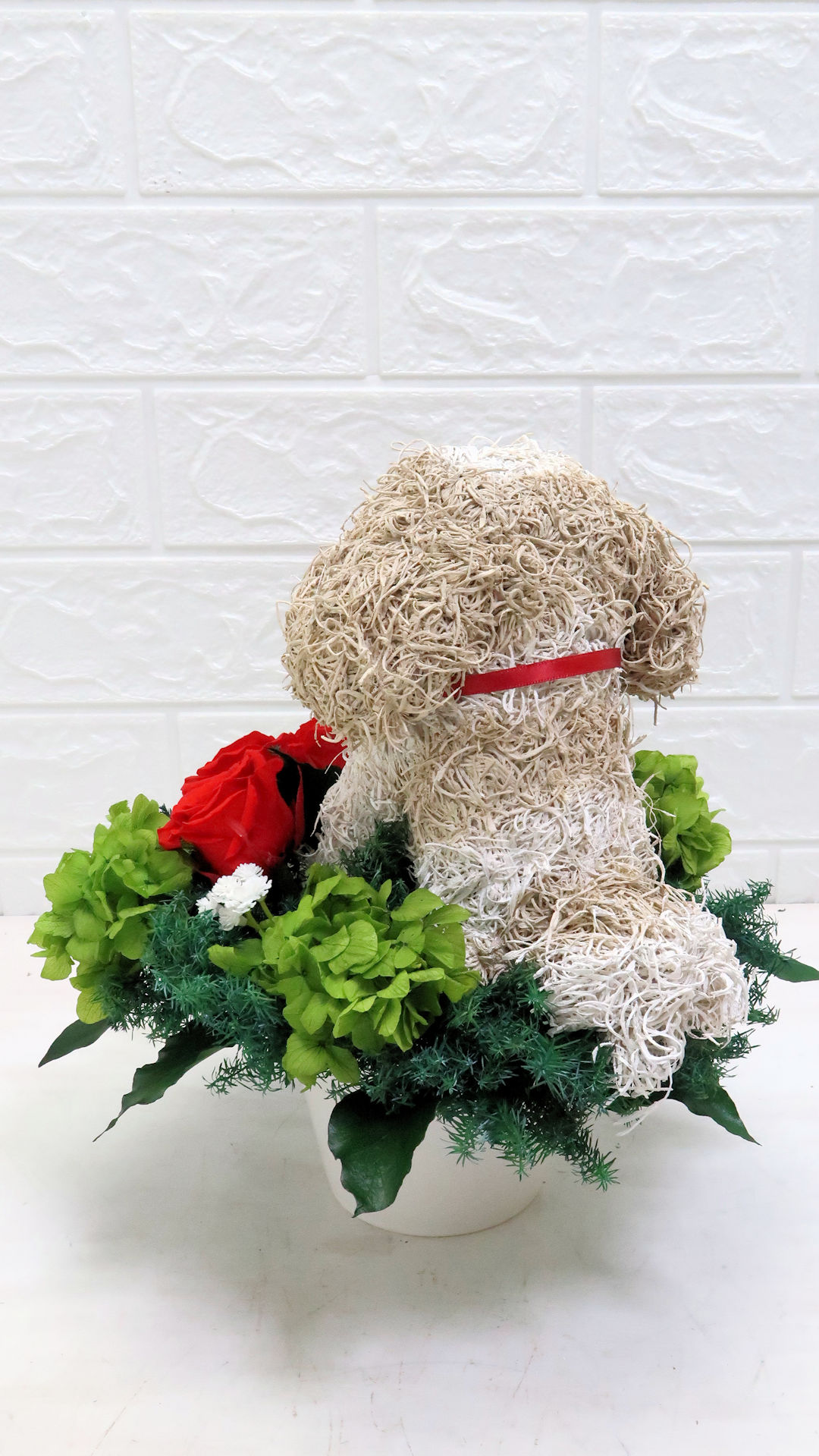 犬花
