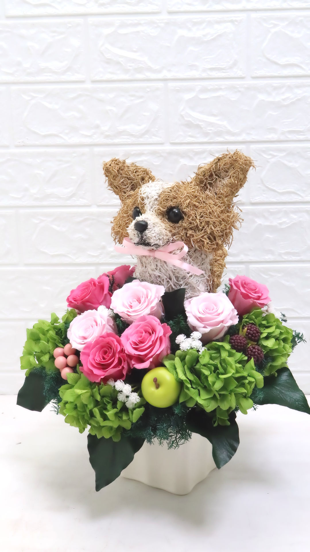 犬花