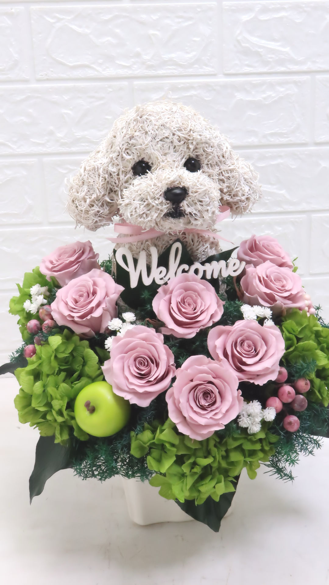 開店祝い 犬