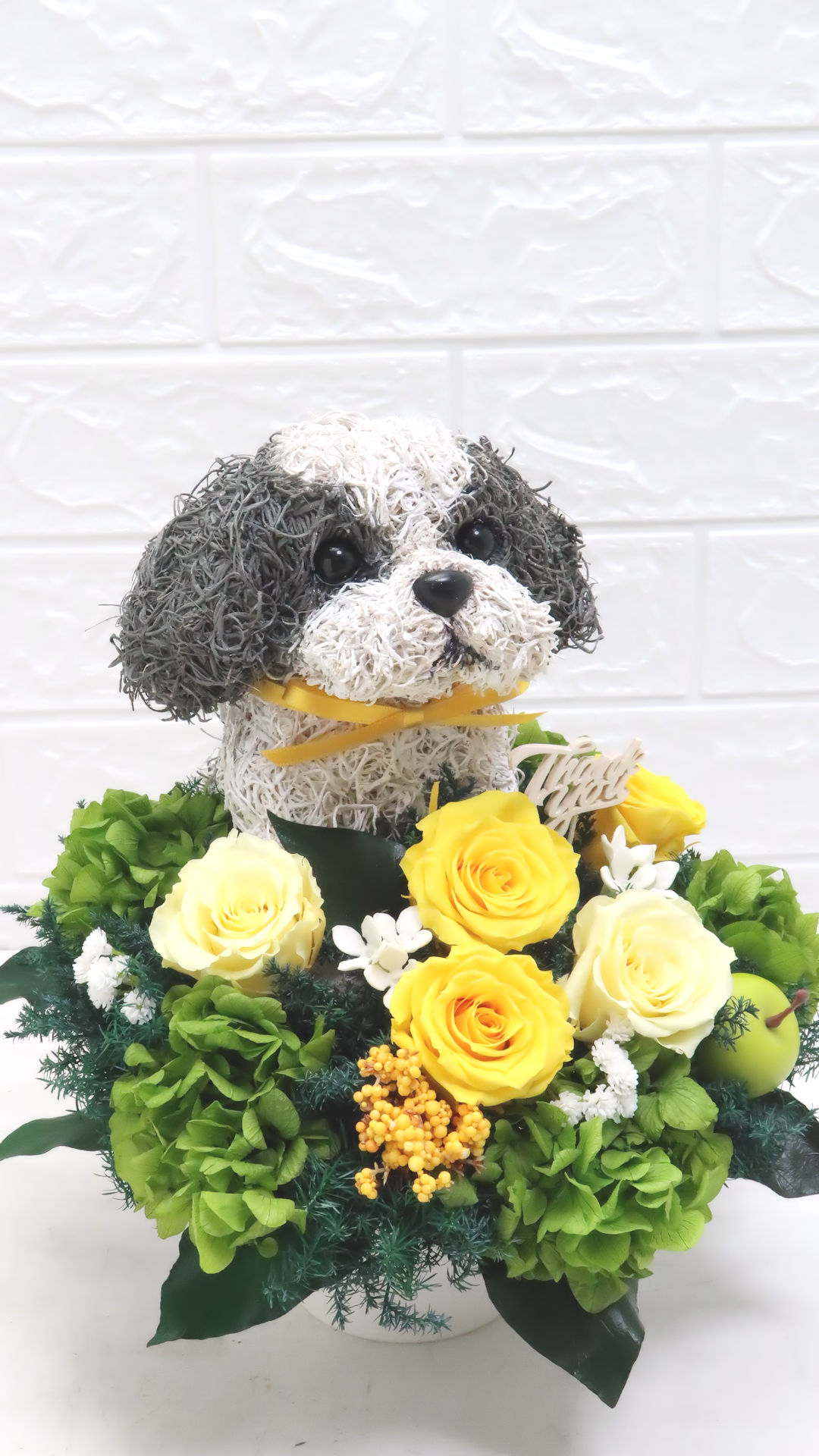 犬花