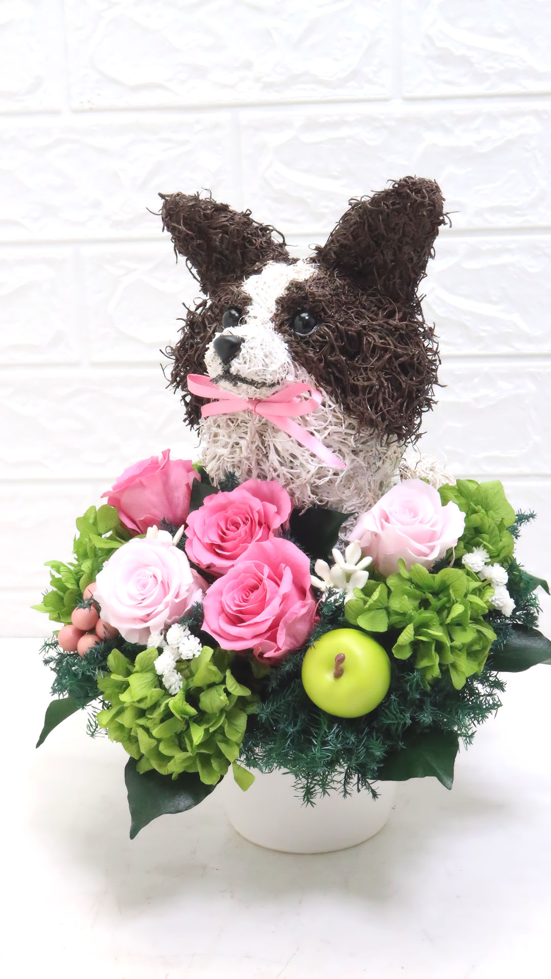 犬花