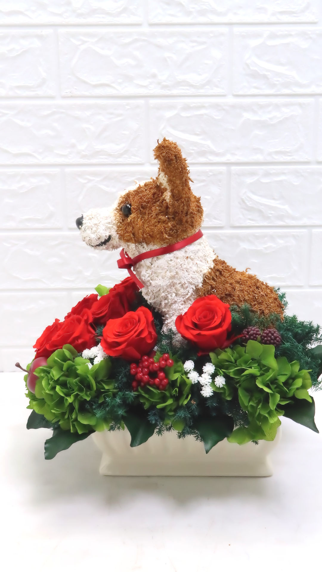 犬花