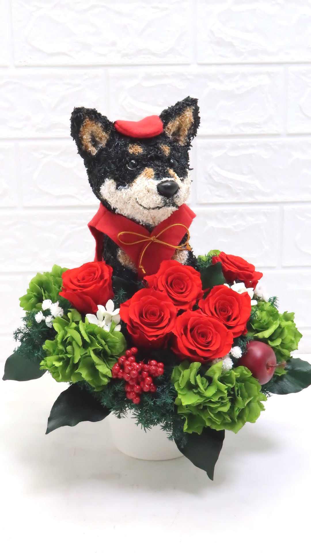 柴犬　還暦祝い