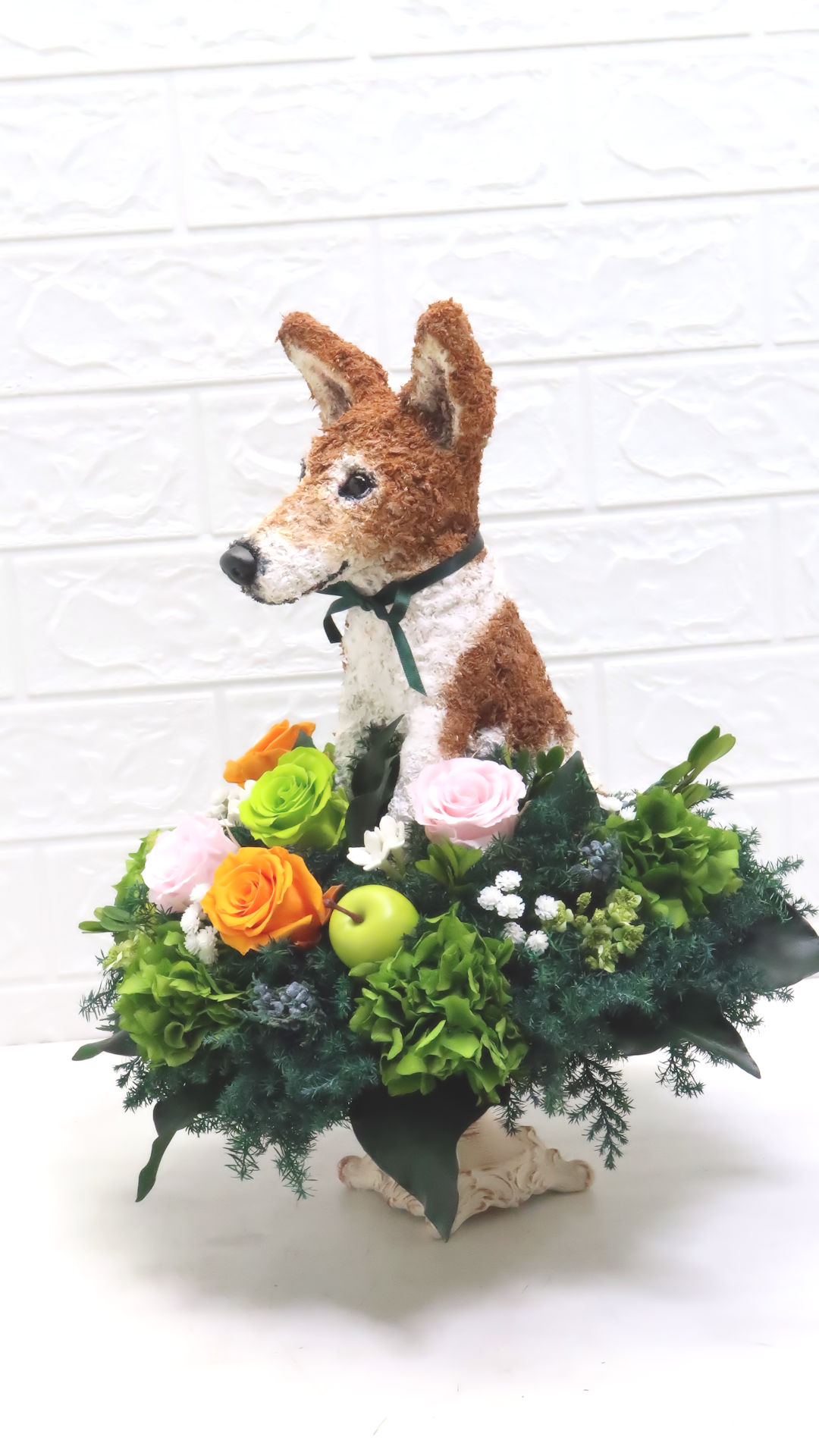 犬花