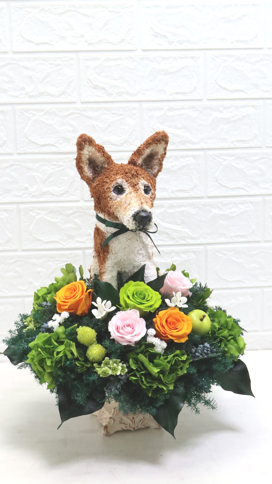 犬花