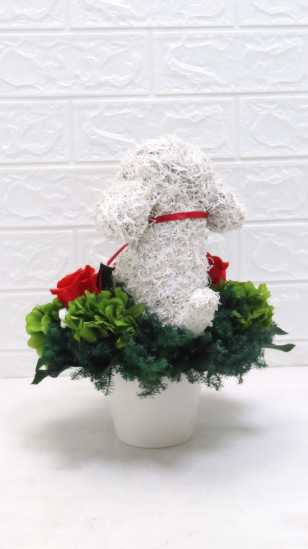 犬花