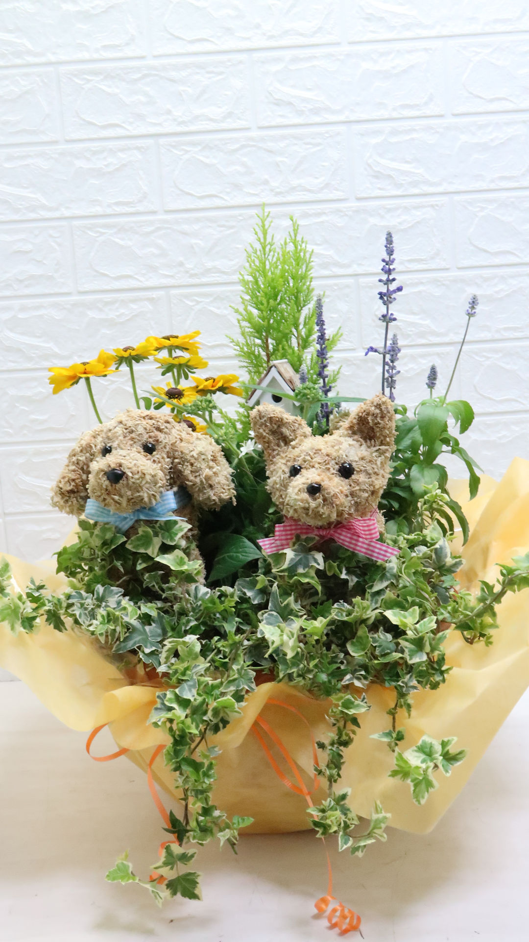 可愛い寄せ植え