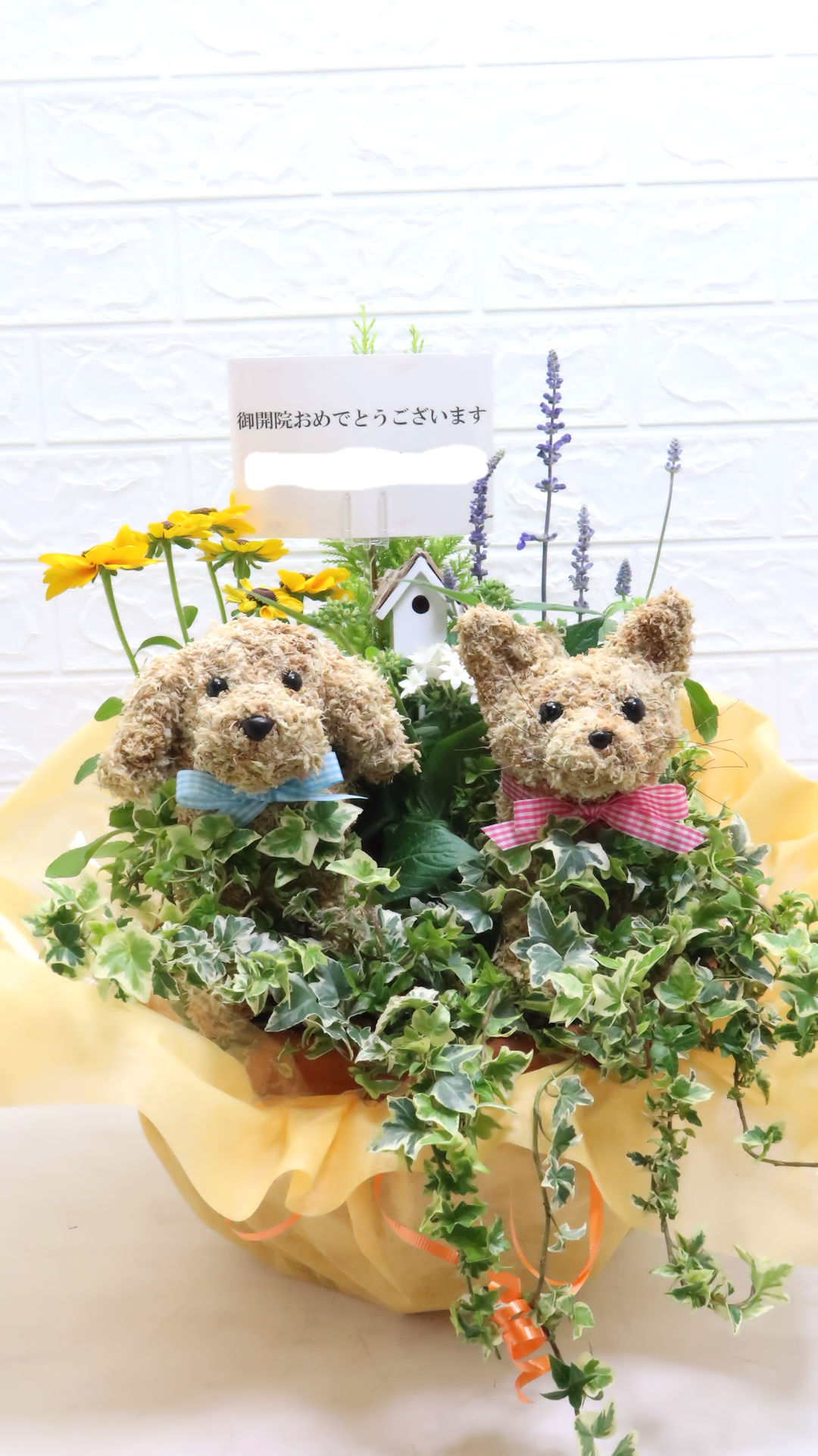 動物病院 開院祝い花