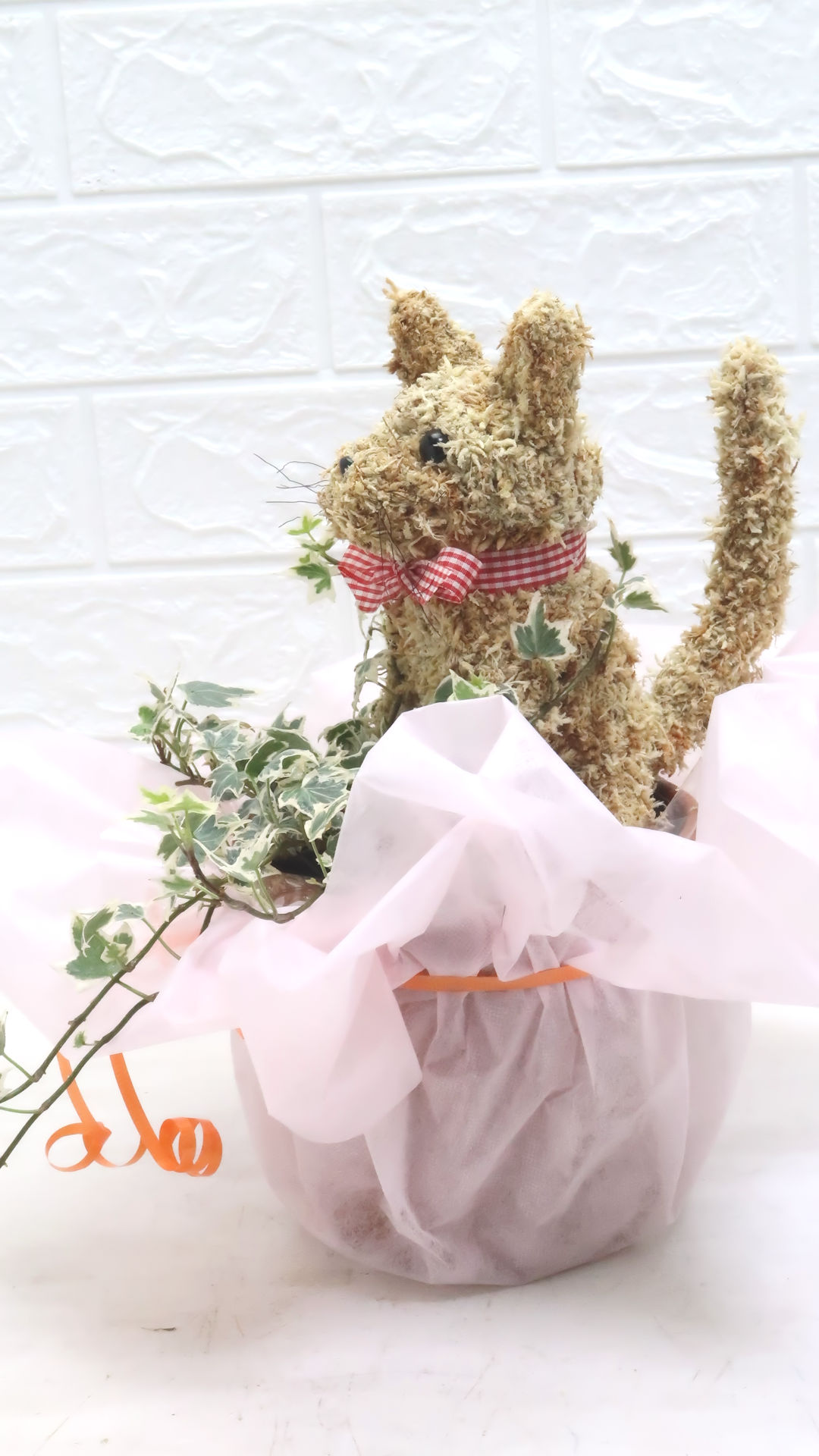 鉢植え 猫