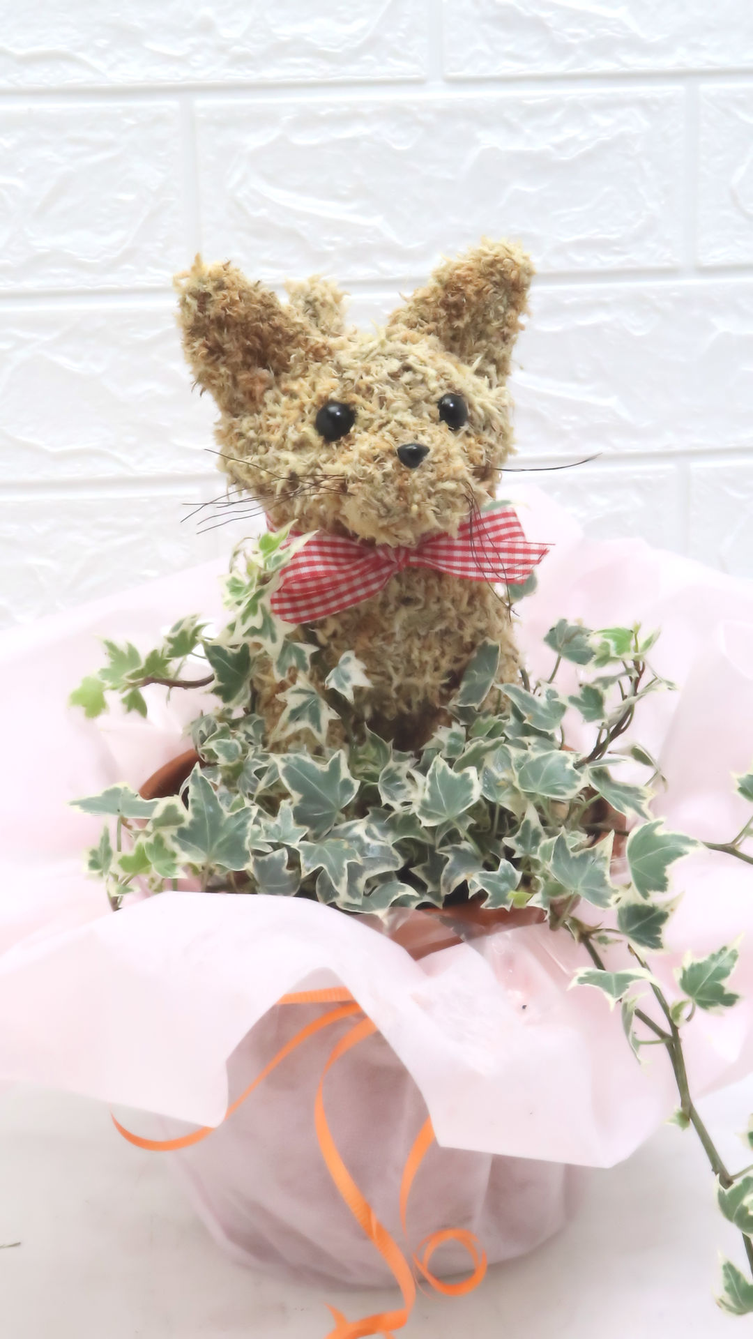 癒しの花