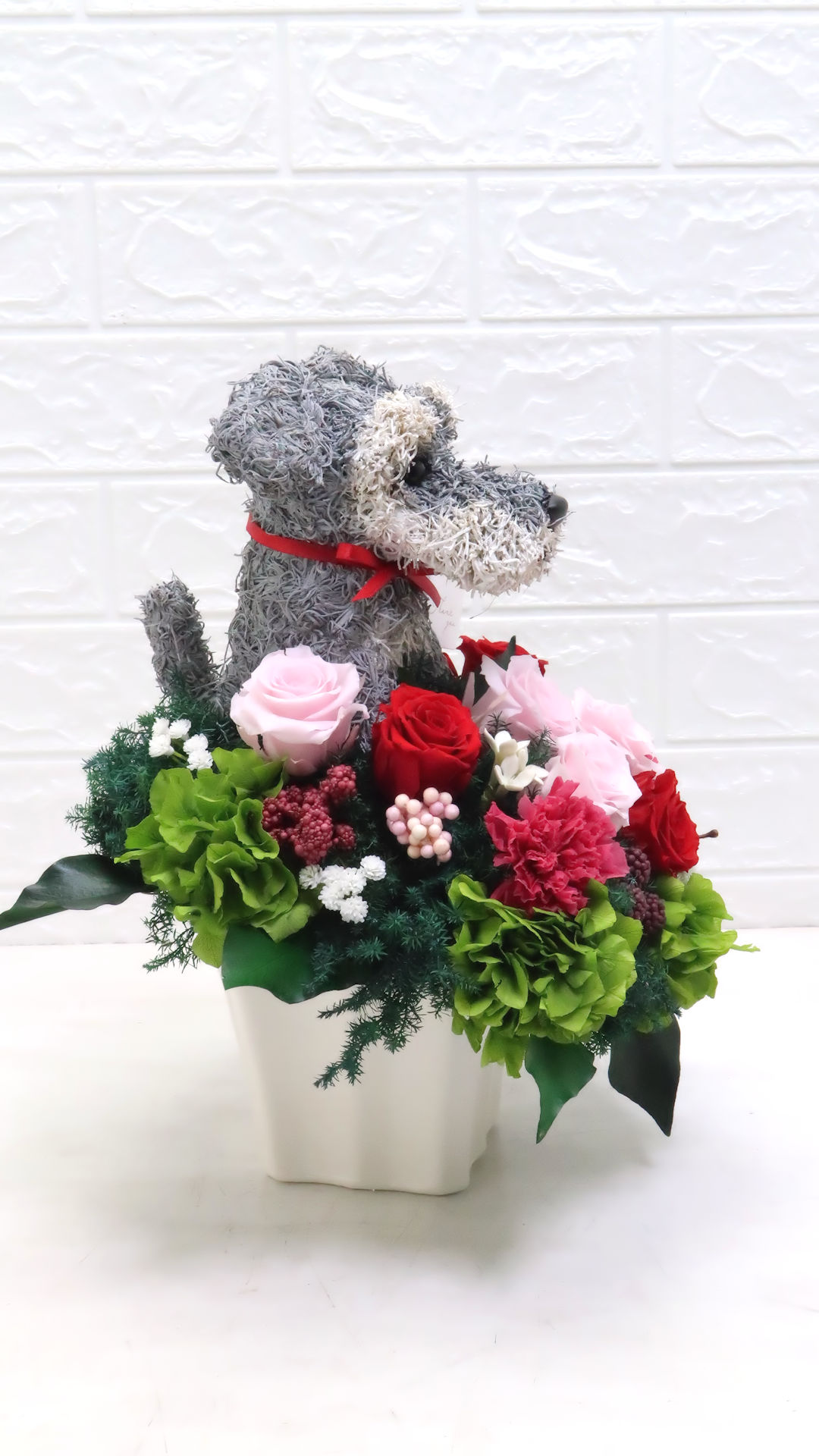 犬花