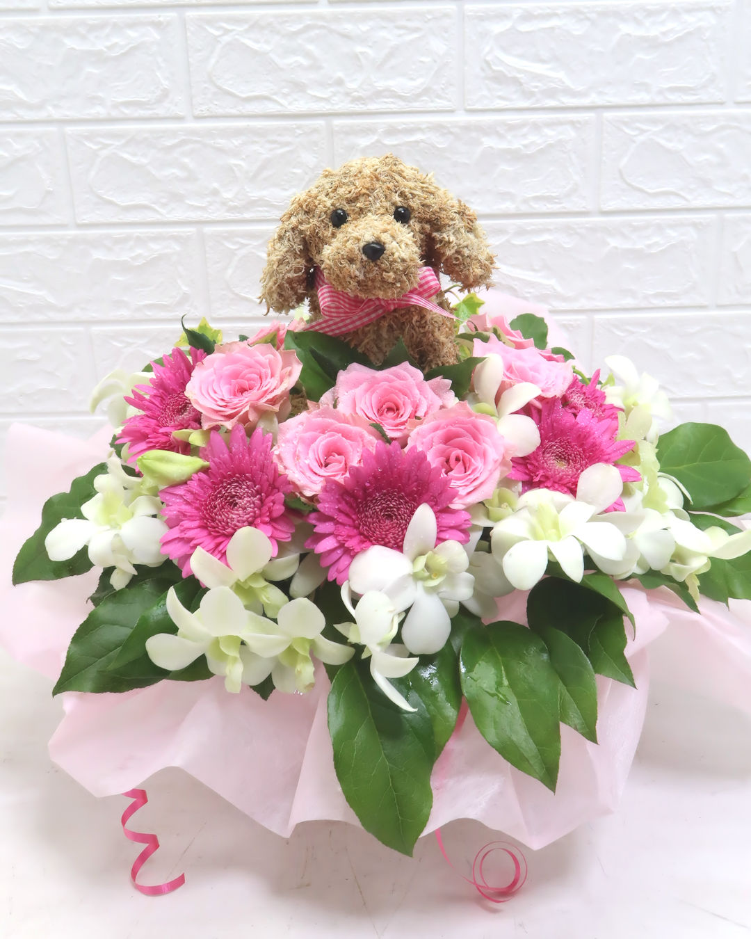 開店祝い 犬