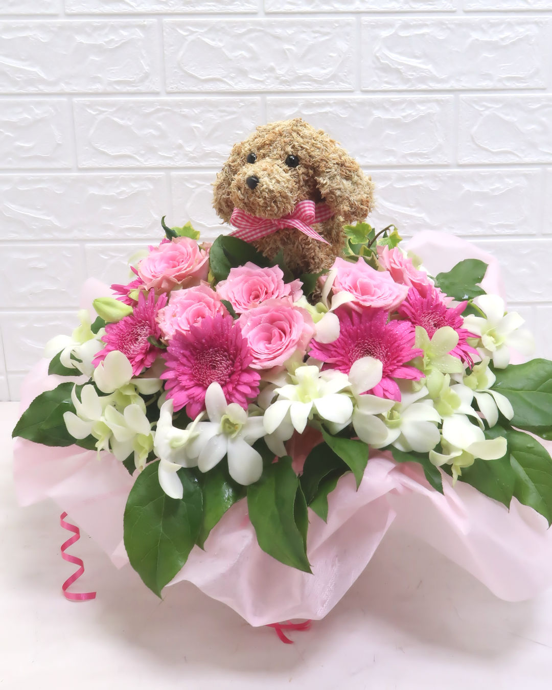 犬花