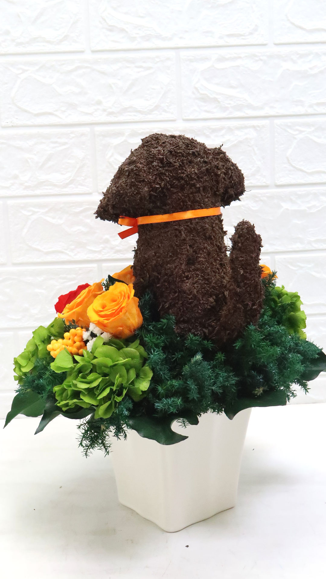 犬花