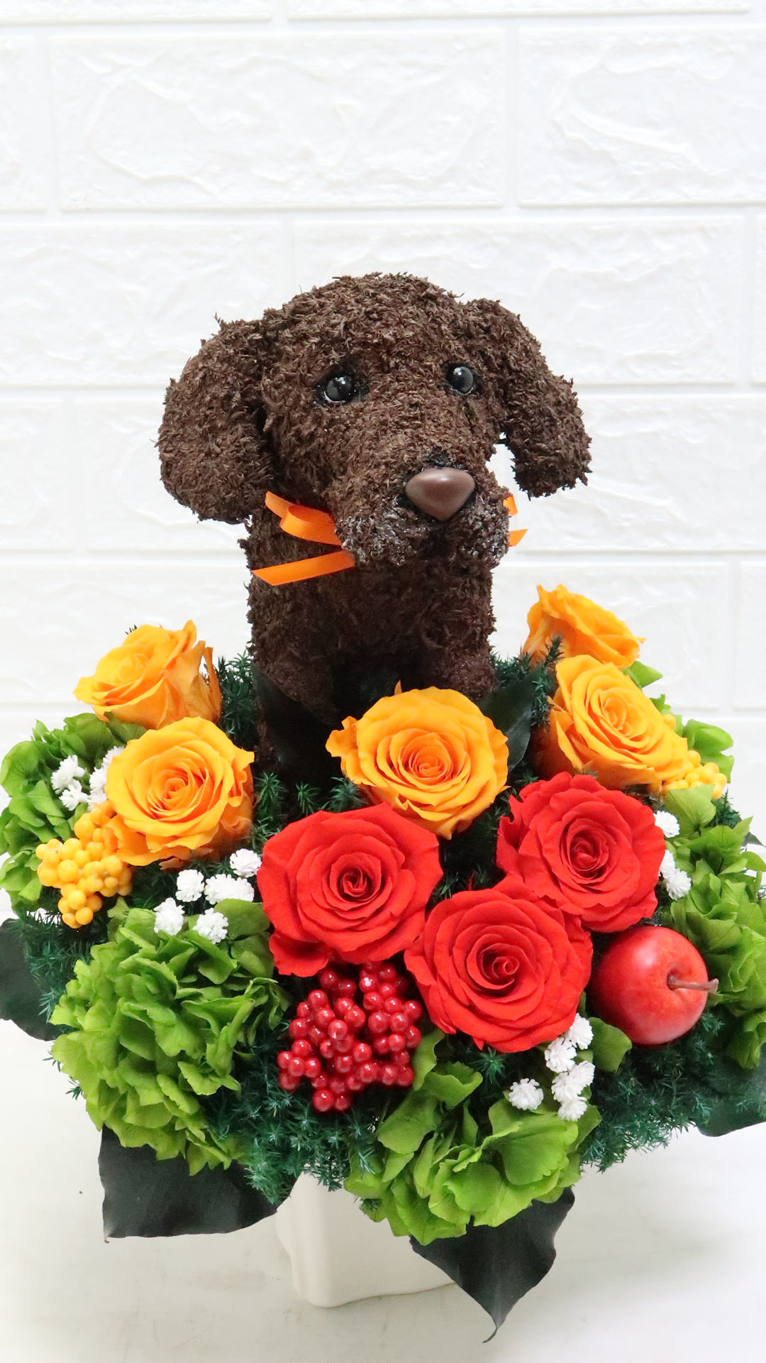 犬花