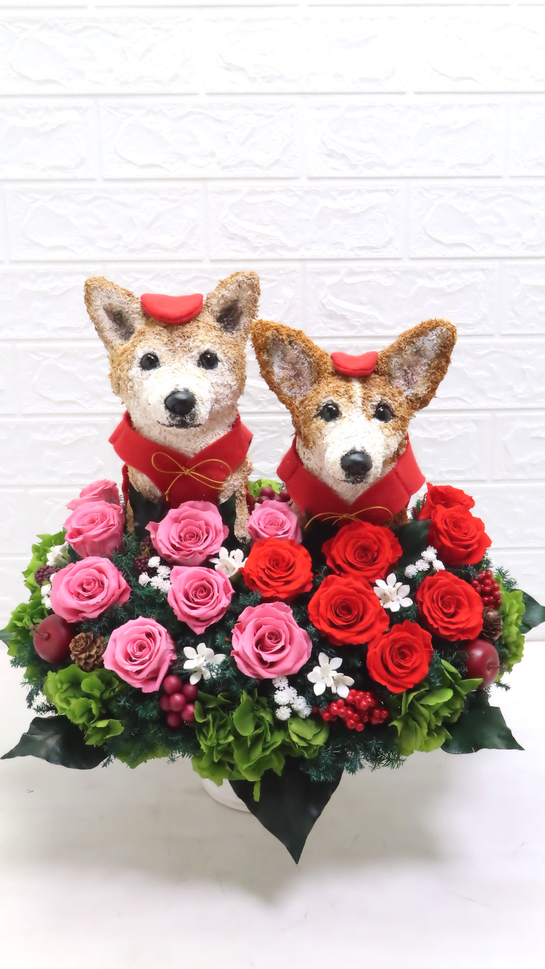 還暦祝い犬