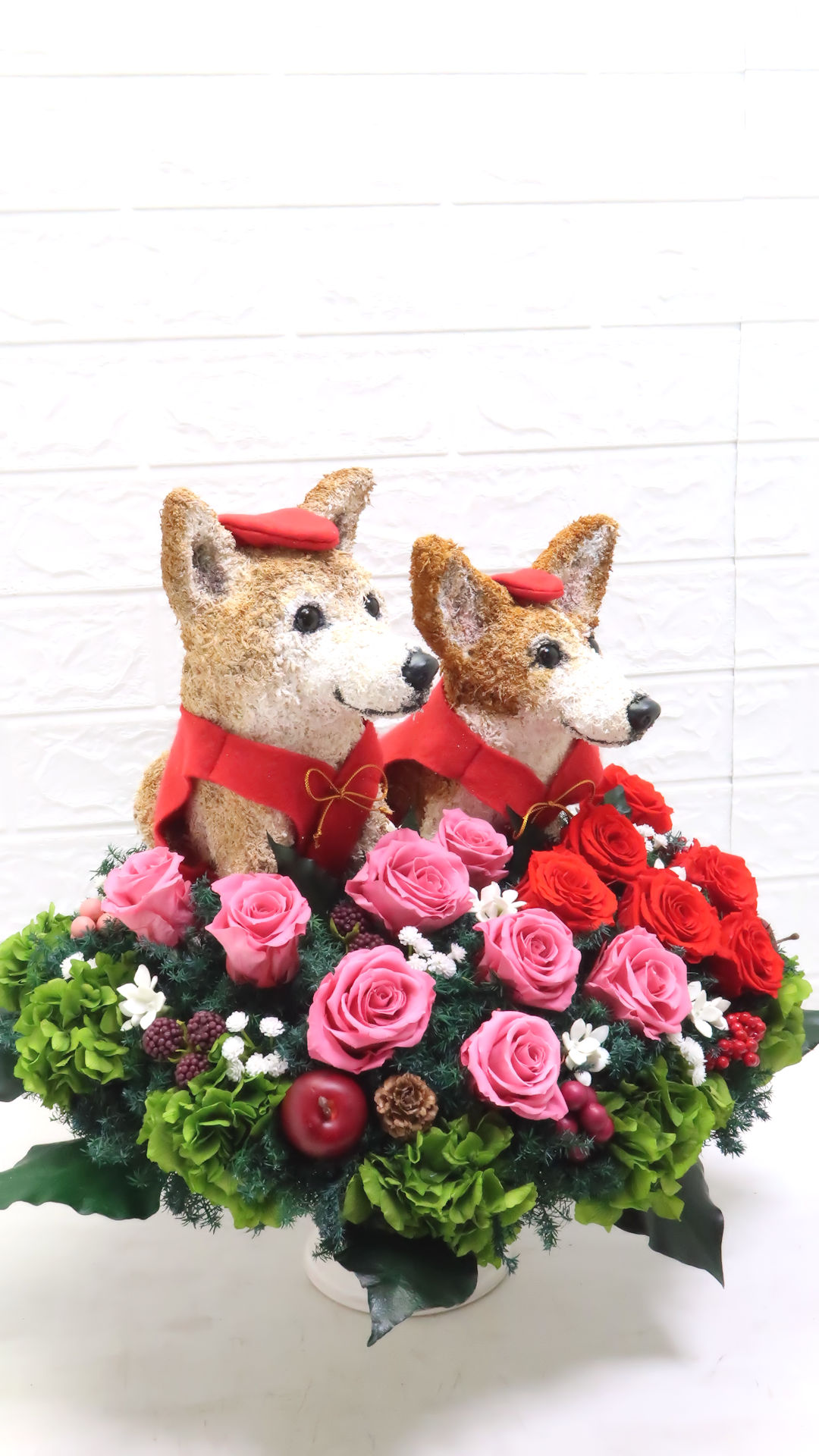 犬花