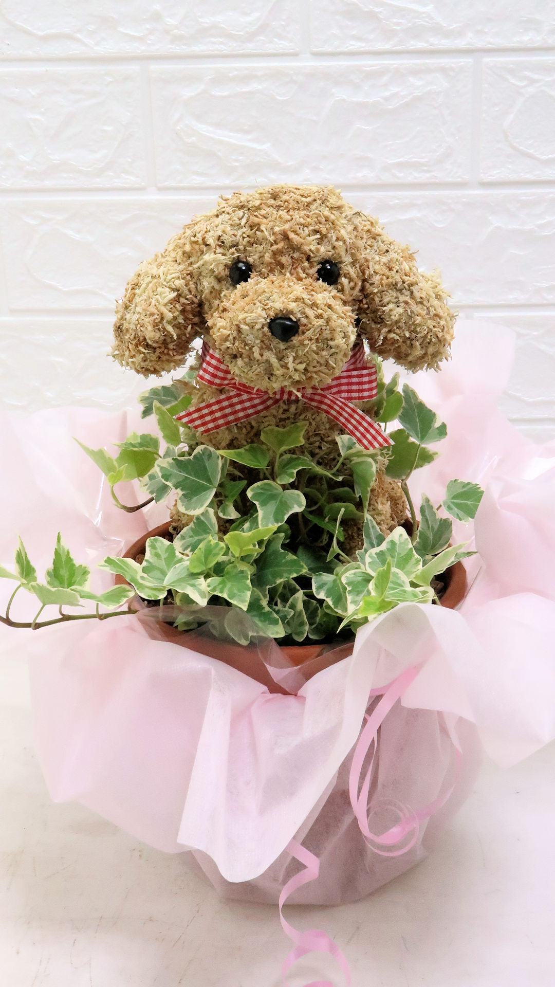 犬とピアリー