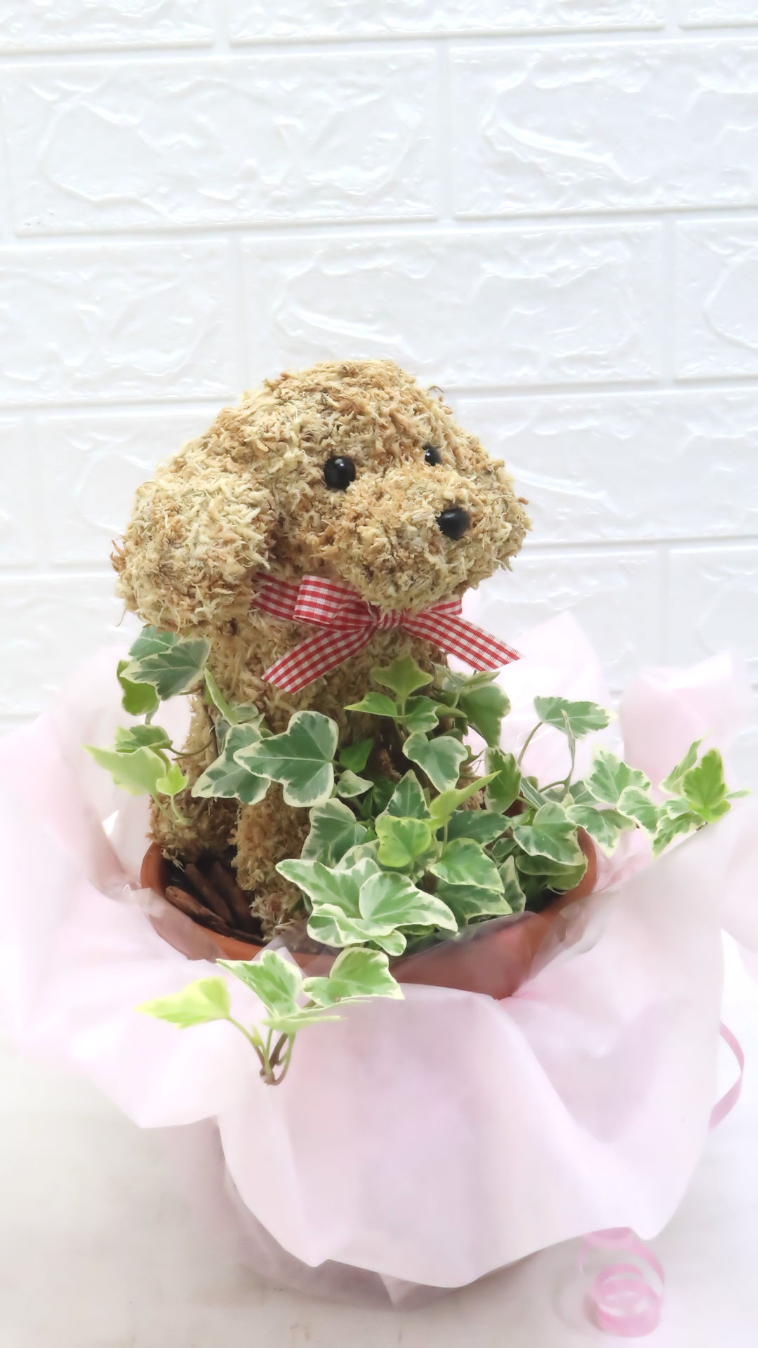 可愛い鉢植え　犬